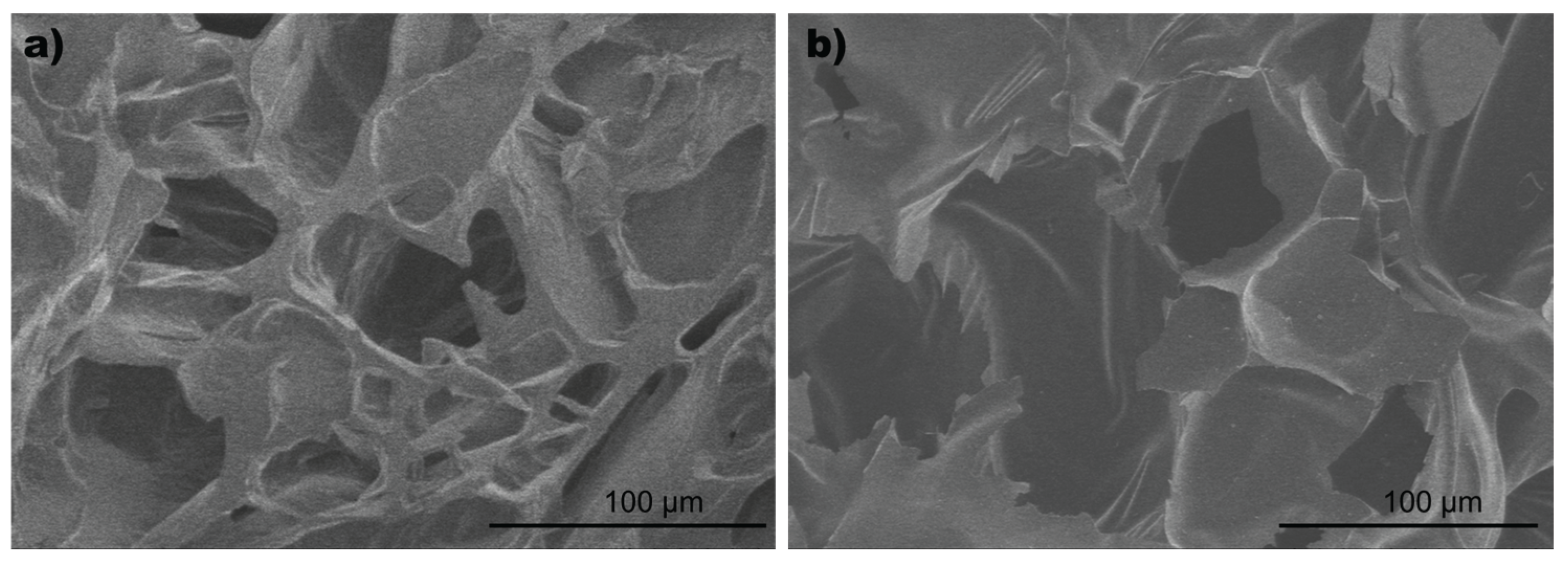 Preprints 161445 g005