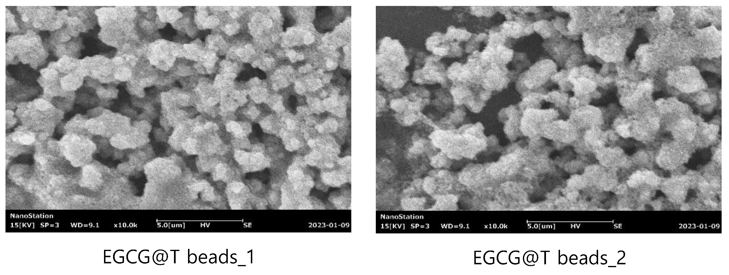 Preprints 156080 g001