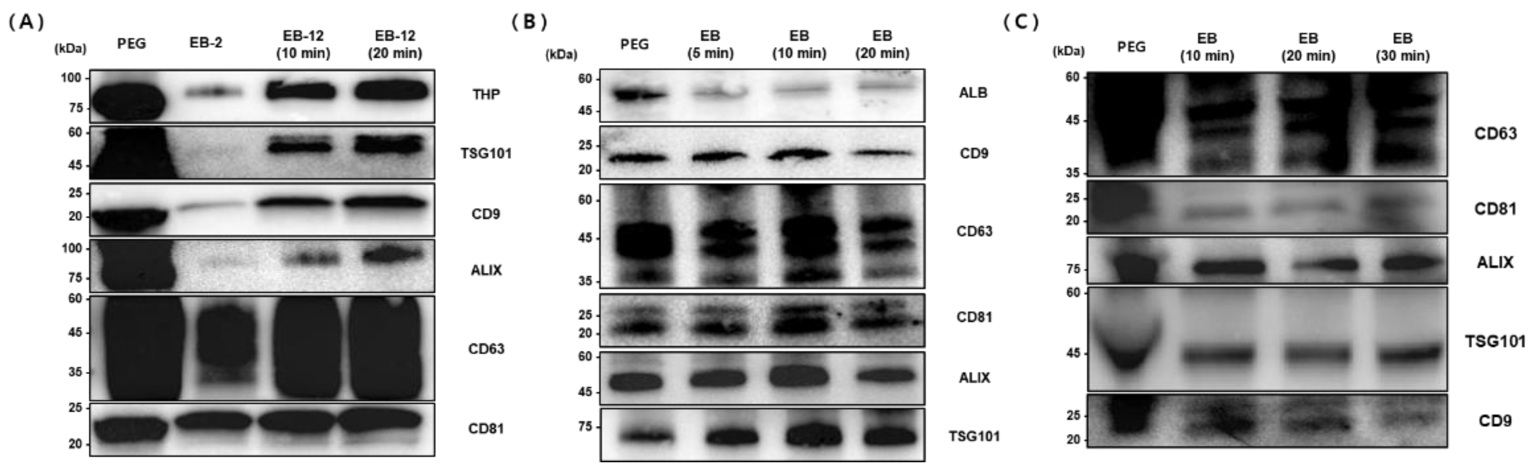 Preprints 156080 g006