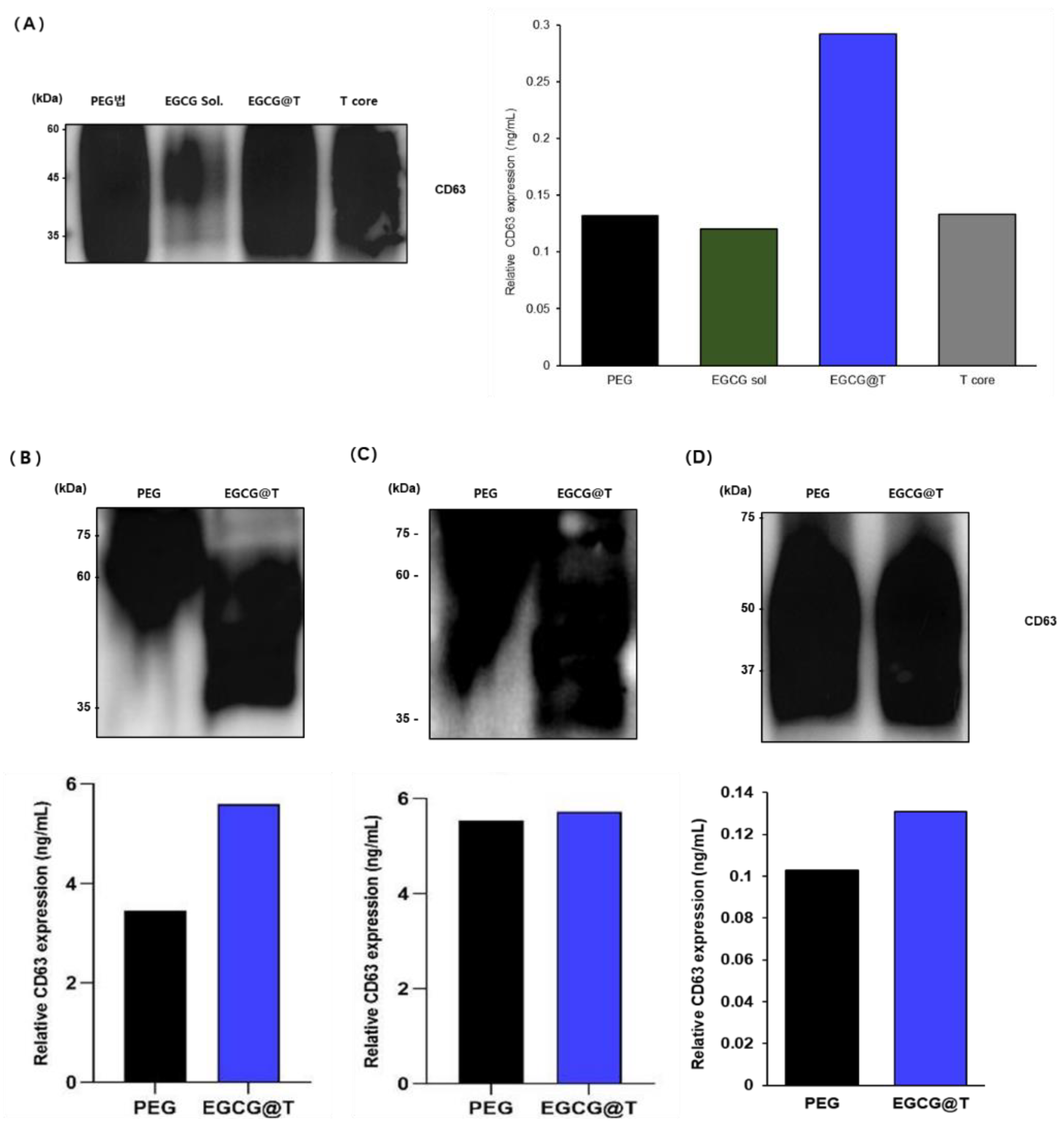 Preprints 156080 g009