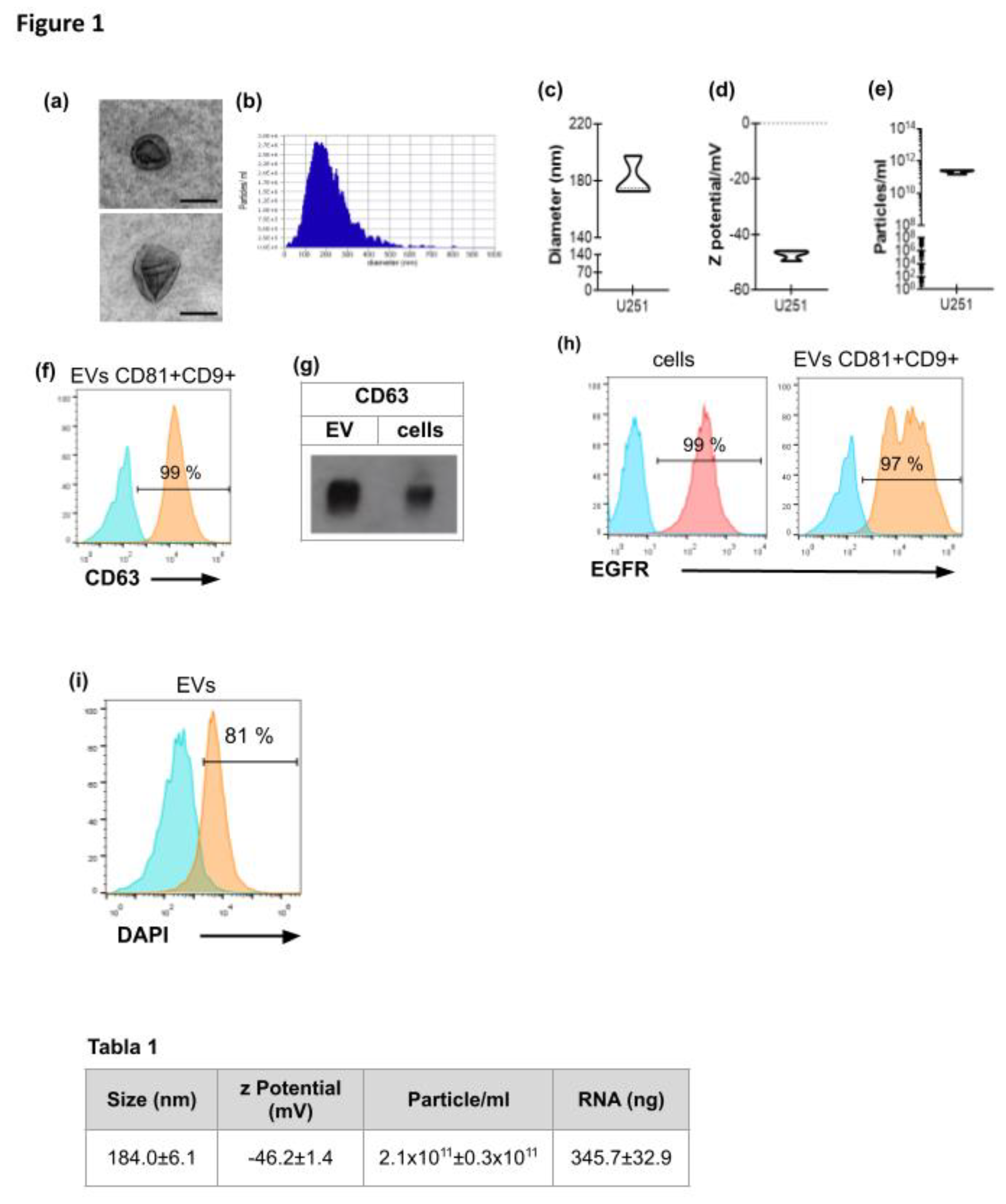 Preprints 191665 g001