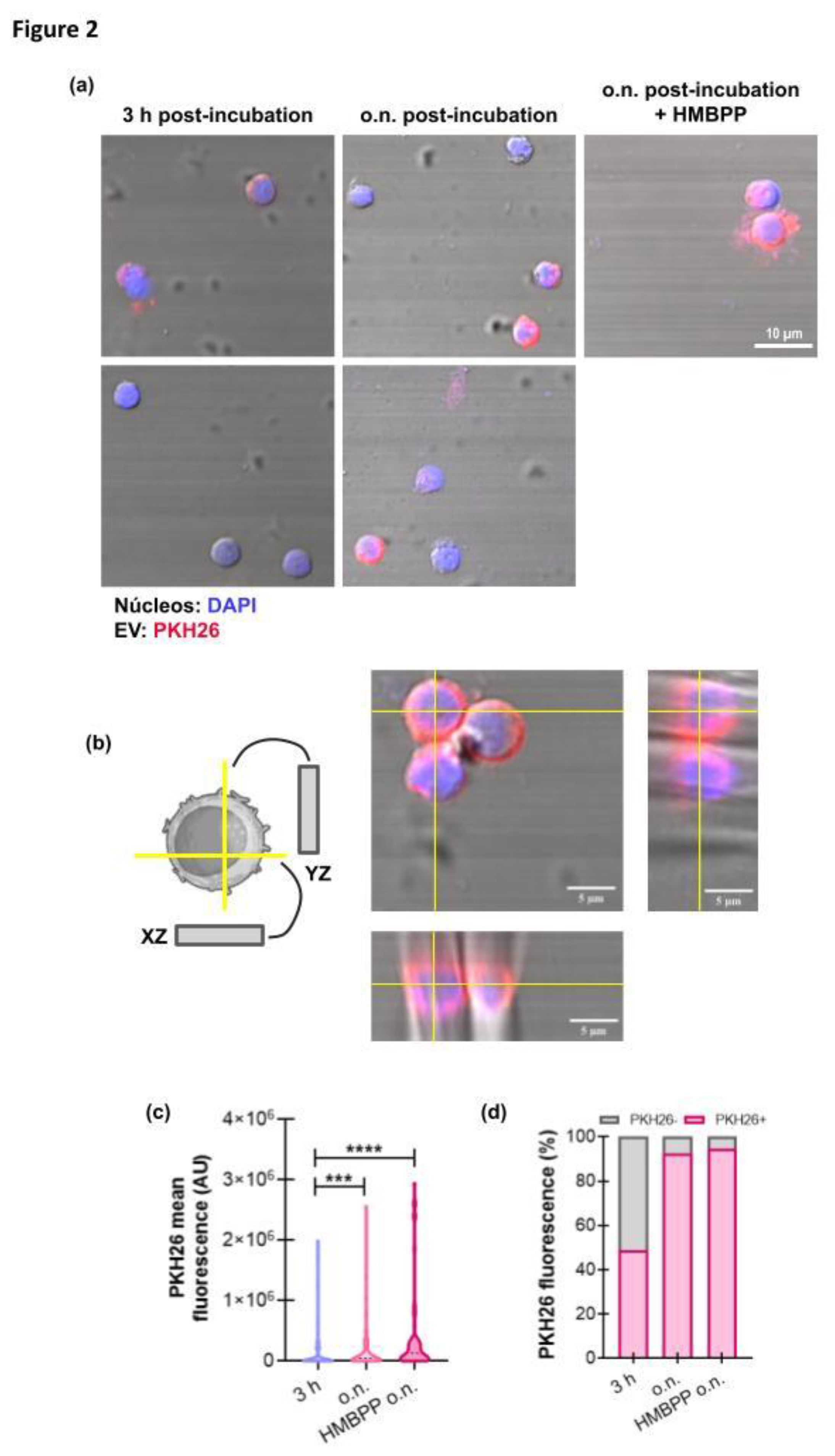 Preprints 191665 g002