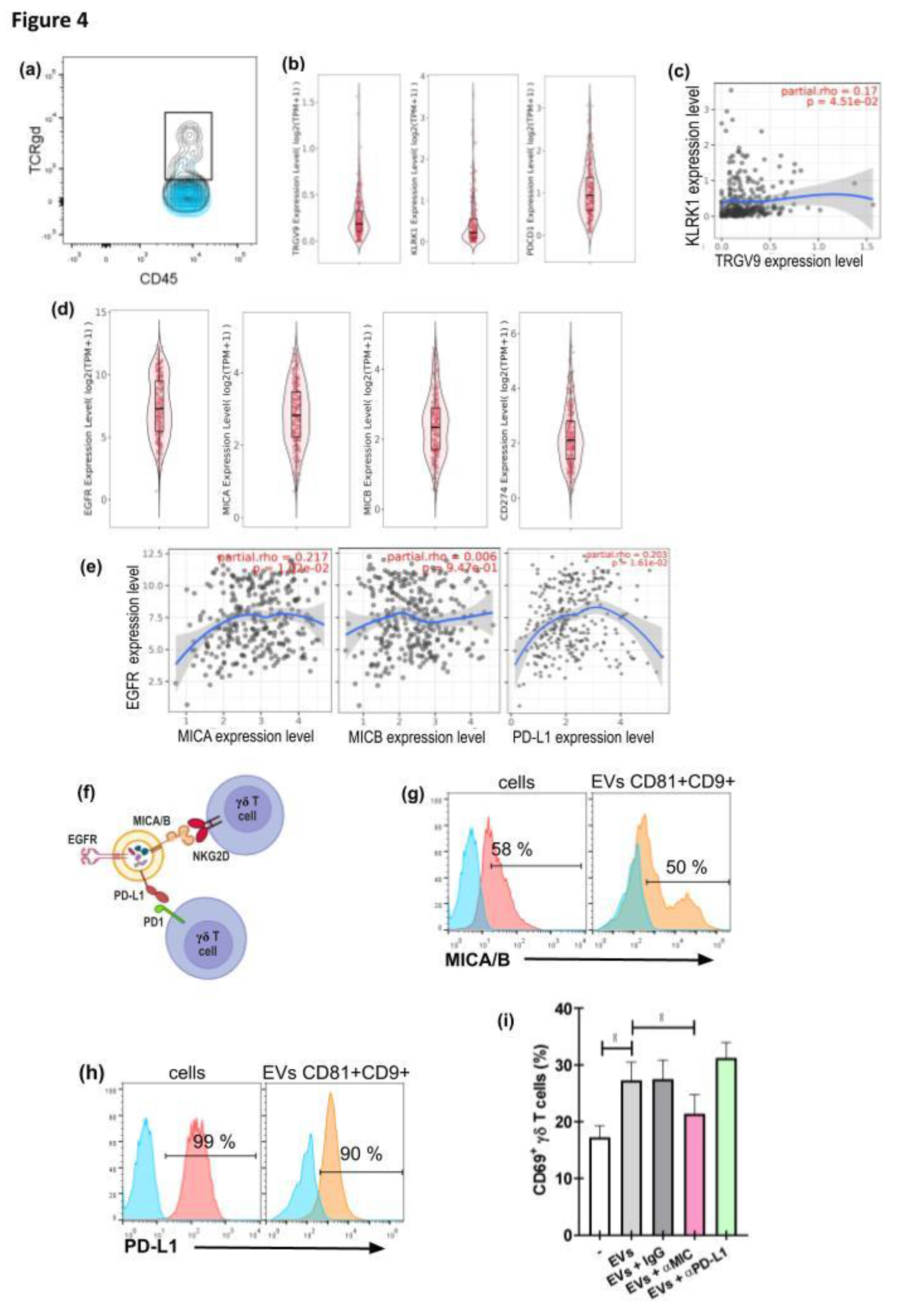 Preprints 191665 g004