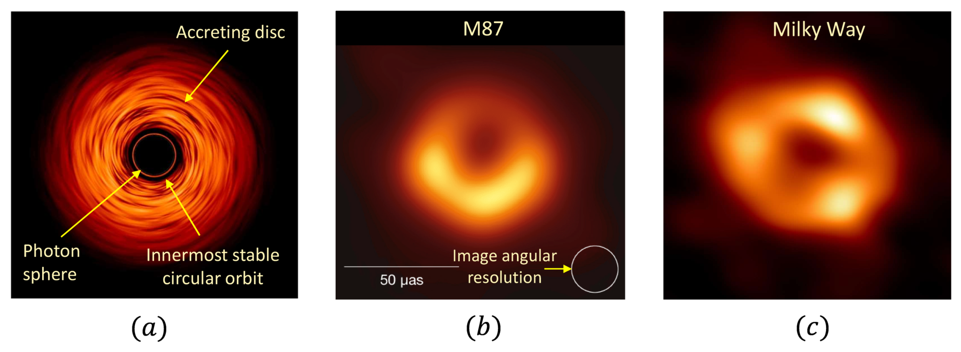 Preprints 219263 g004