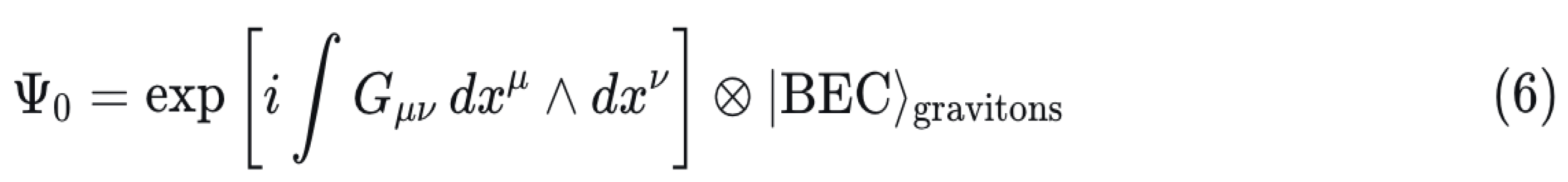 Preprints 197943 i007