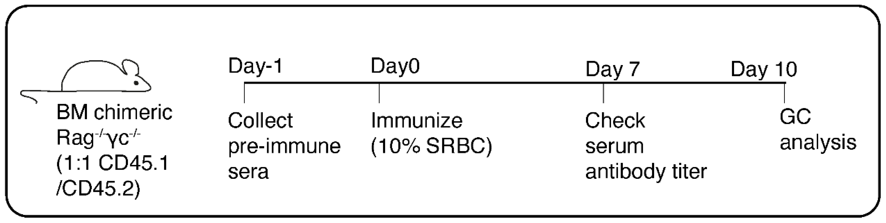 Preprints 142992 g001