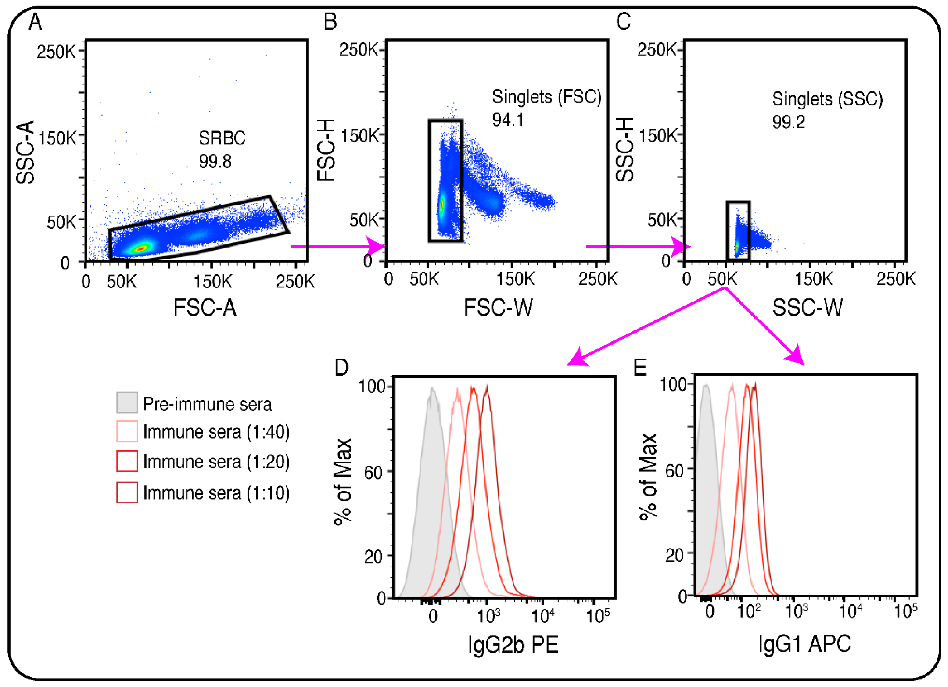 Preprints 142992 g002