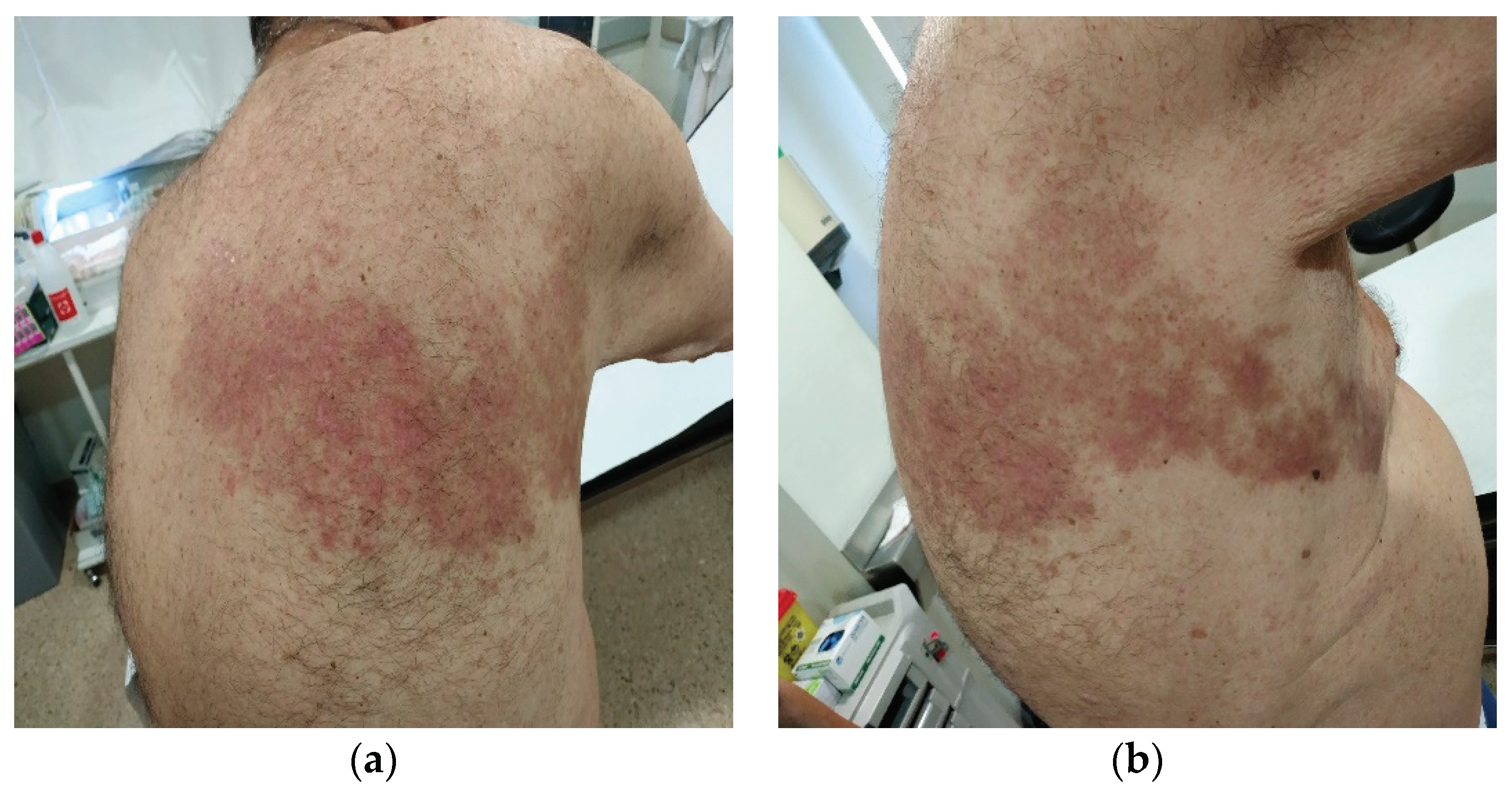 Preprints 101437 g001