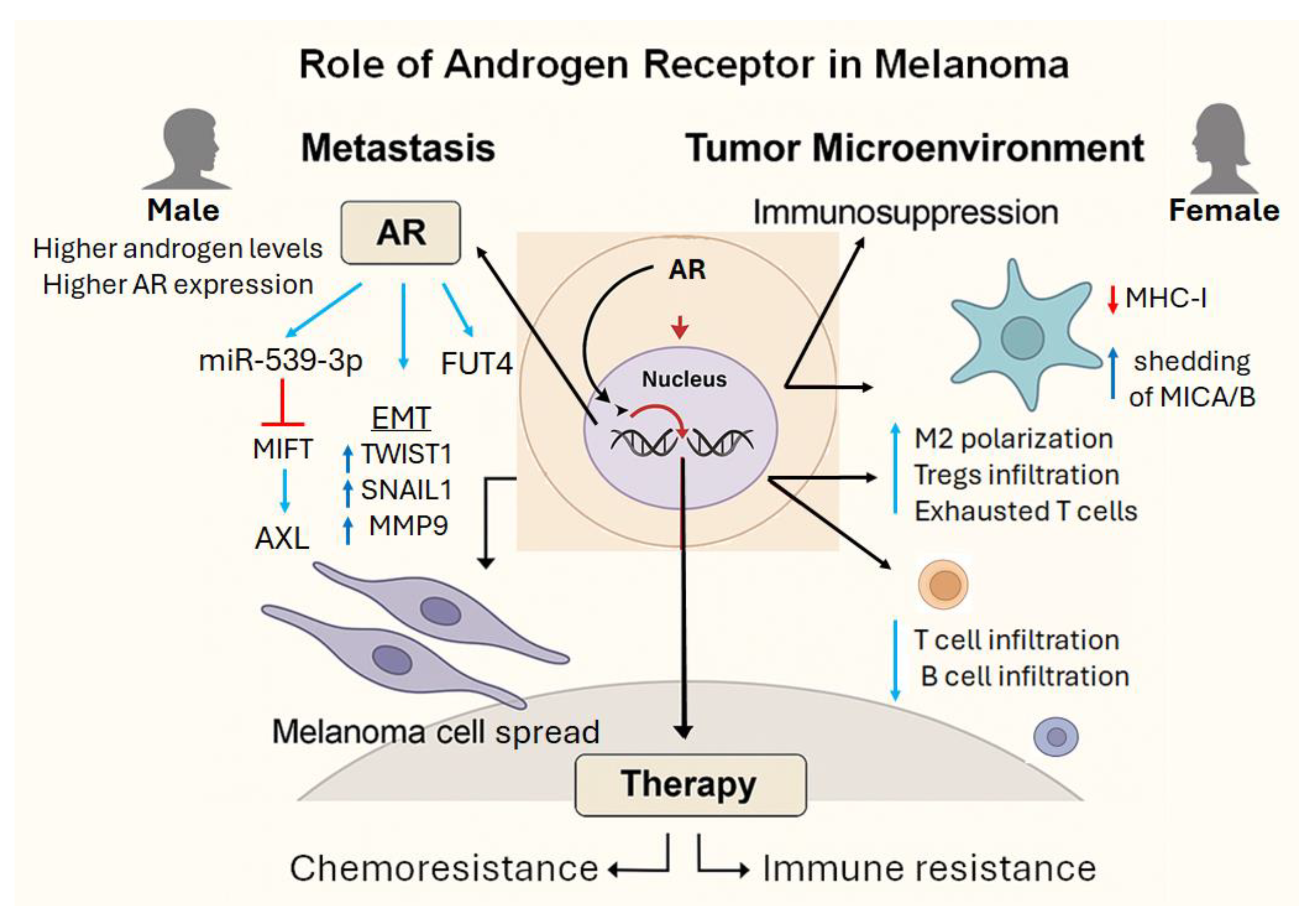 Preprints 170719 g001