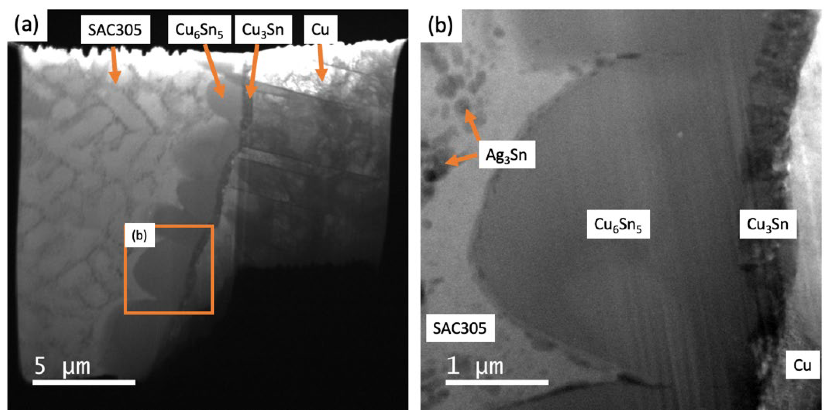 Preprints 166981 g003