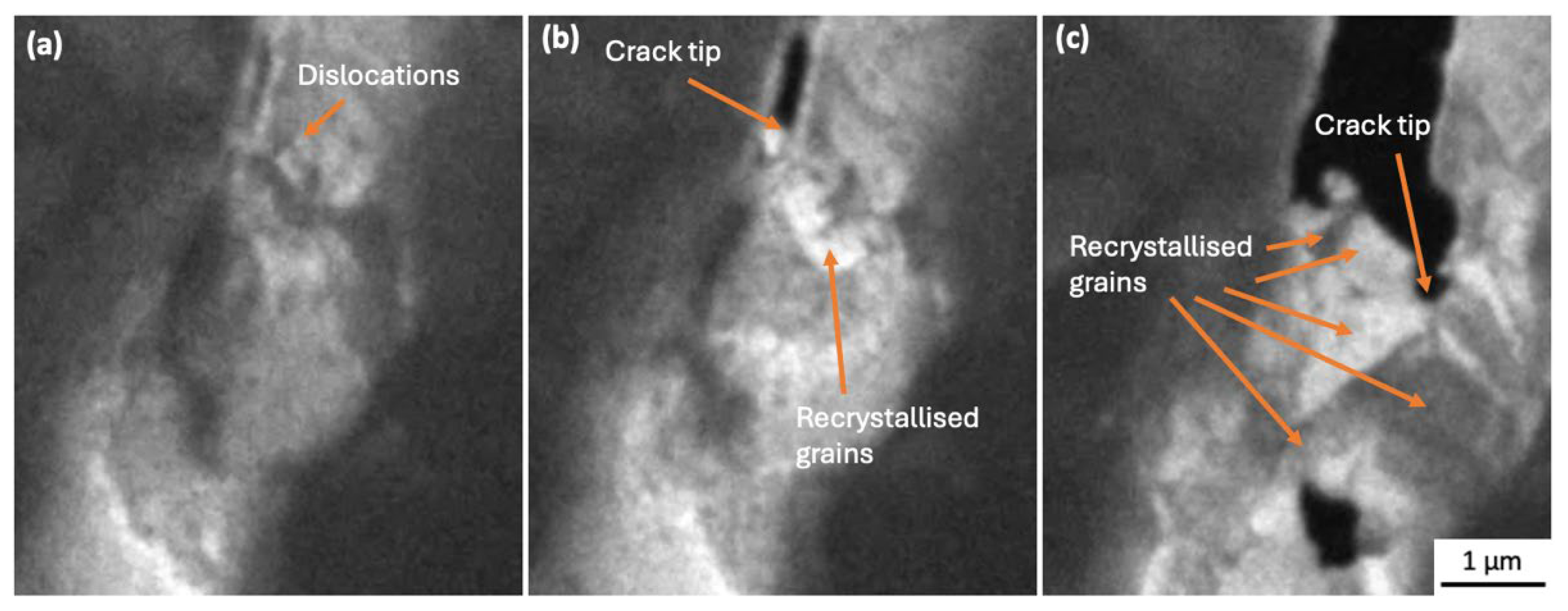 Preprints 166981 g005