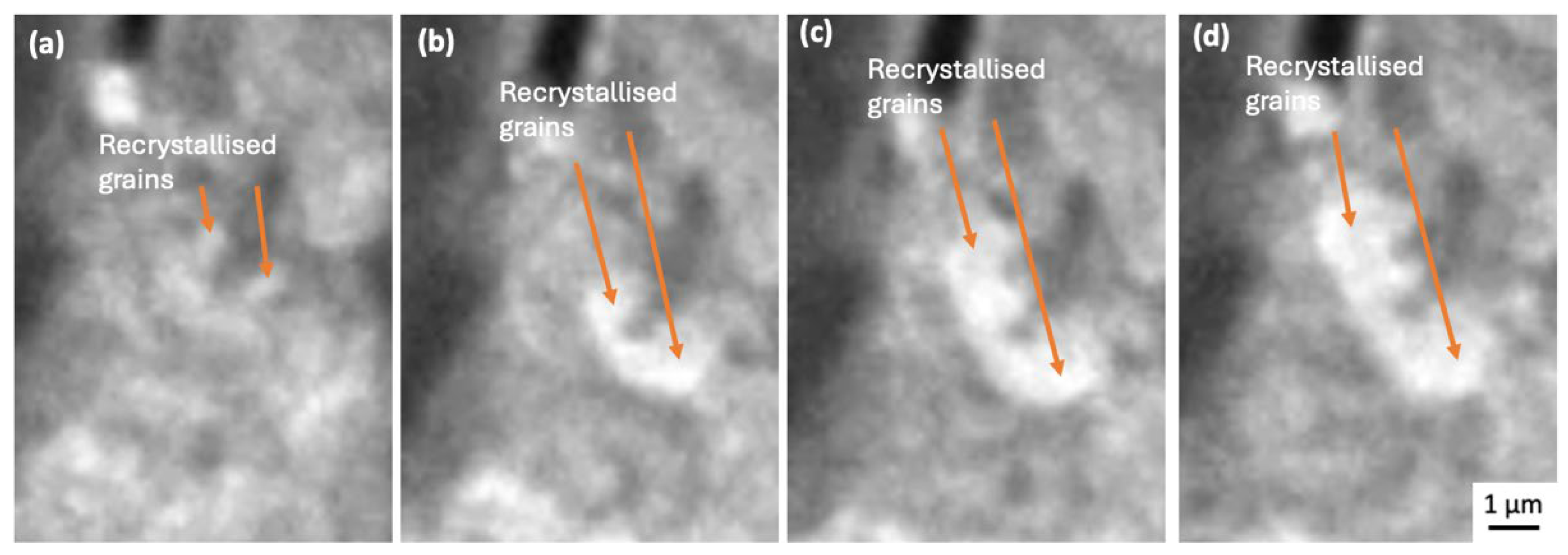 Preprints 166981 g006
