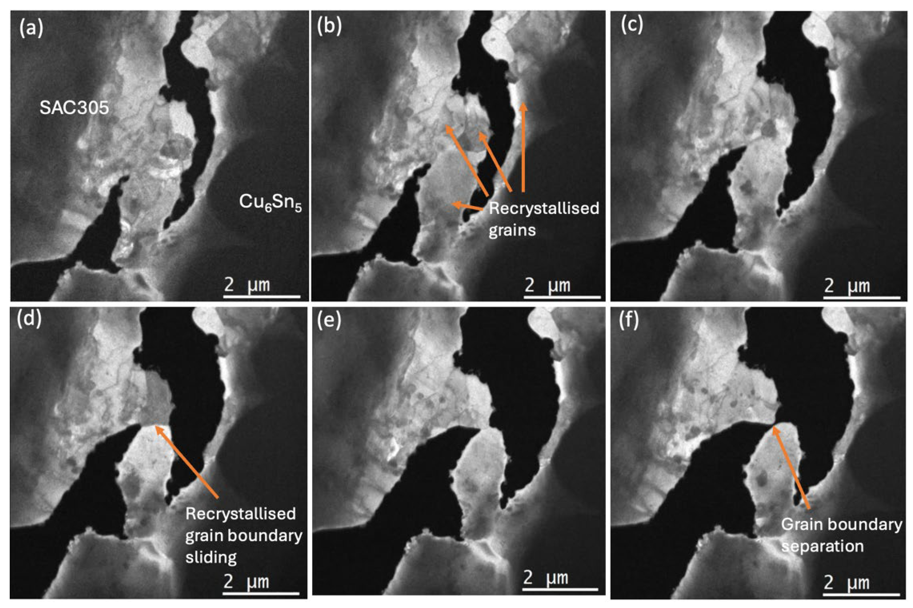 Preprints 166981 g007