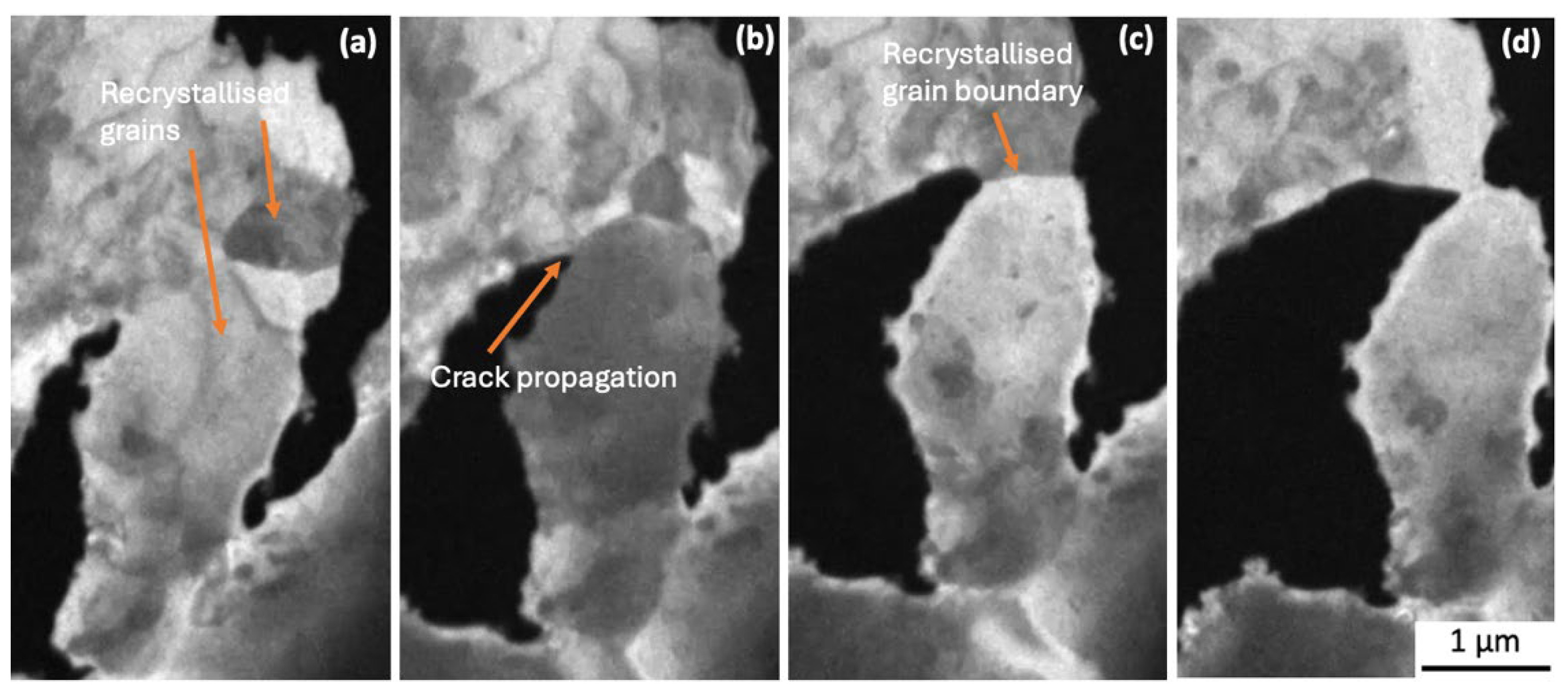 Preprints 166981 g008