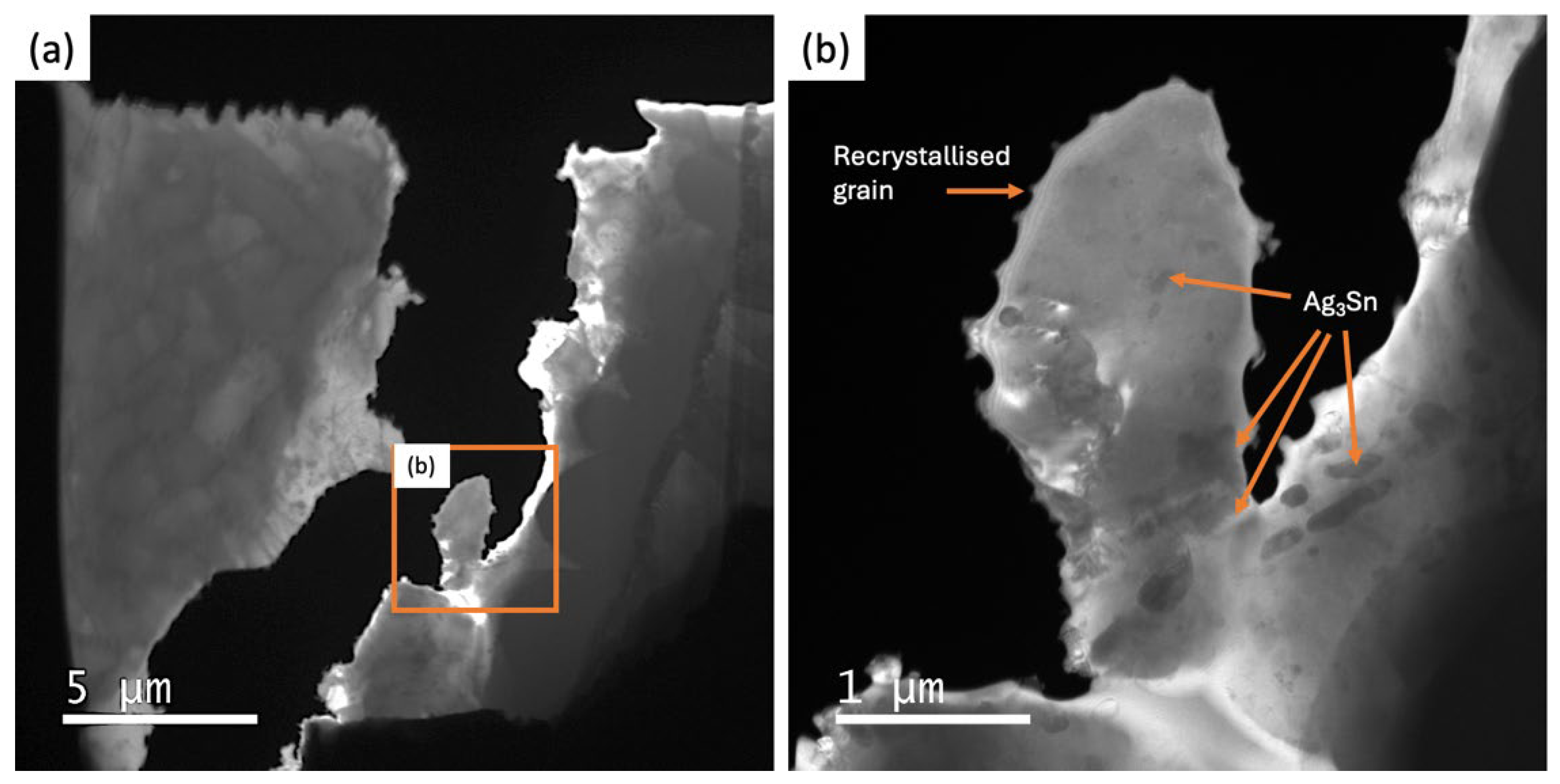 Preprints 166981 g009