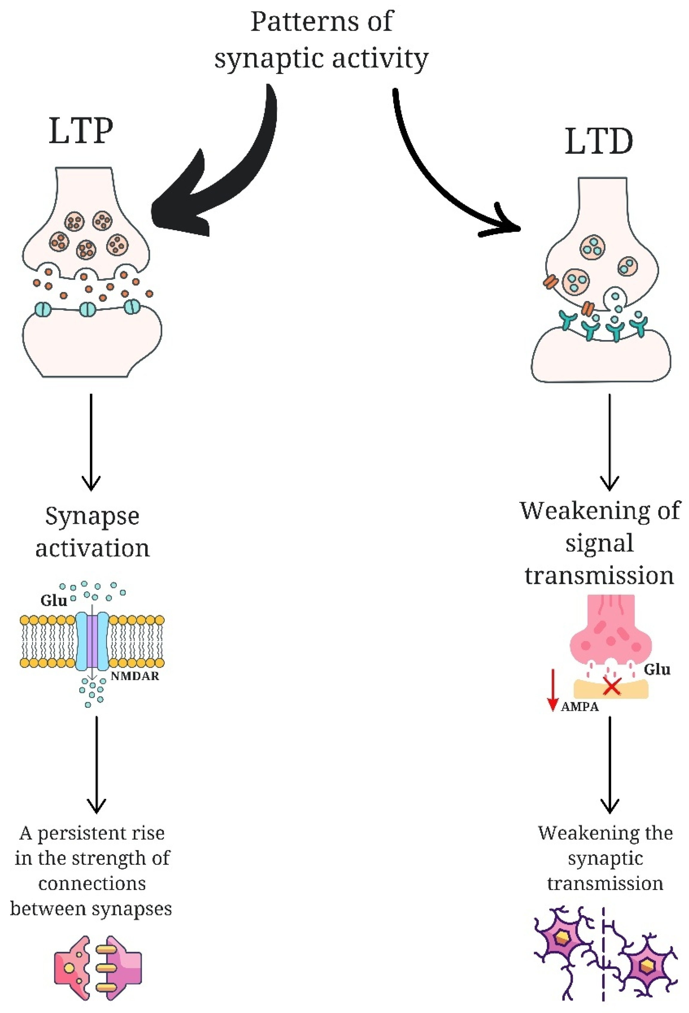 Preprints 152508 g001