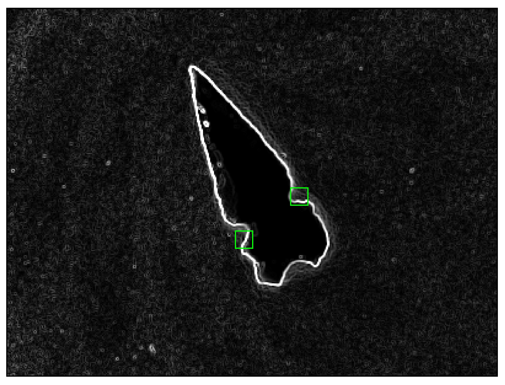 Preprints 187288 g005