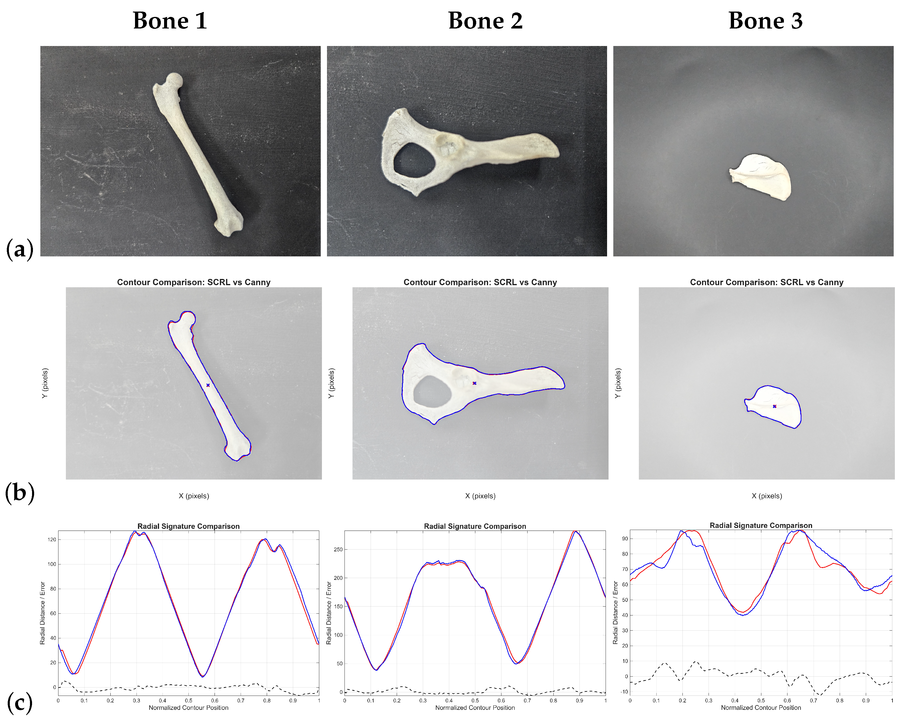Preprints 187288 g019