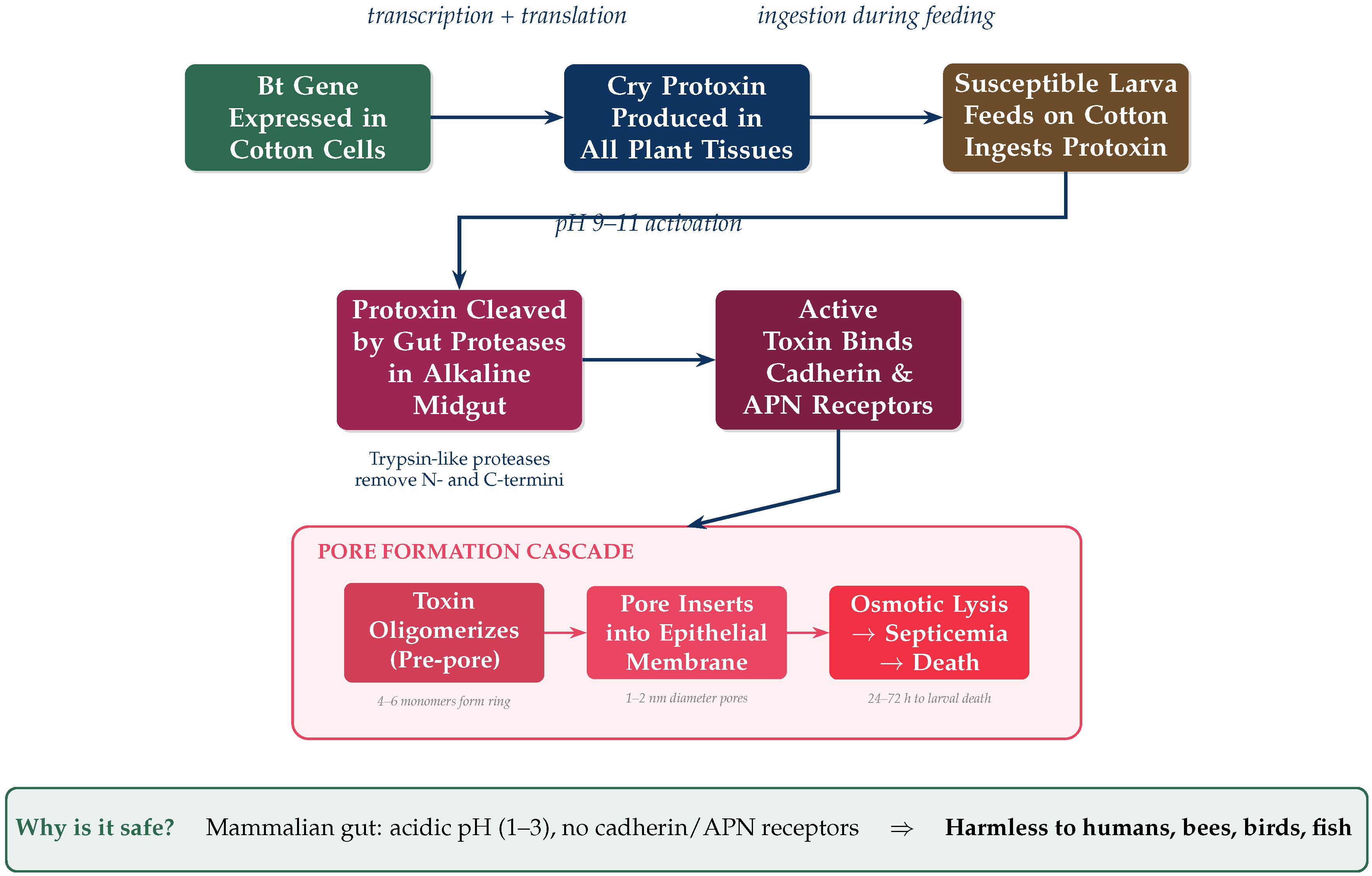 Preprints 201934 g001