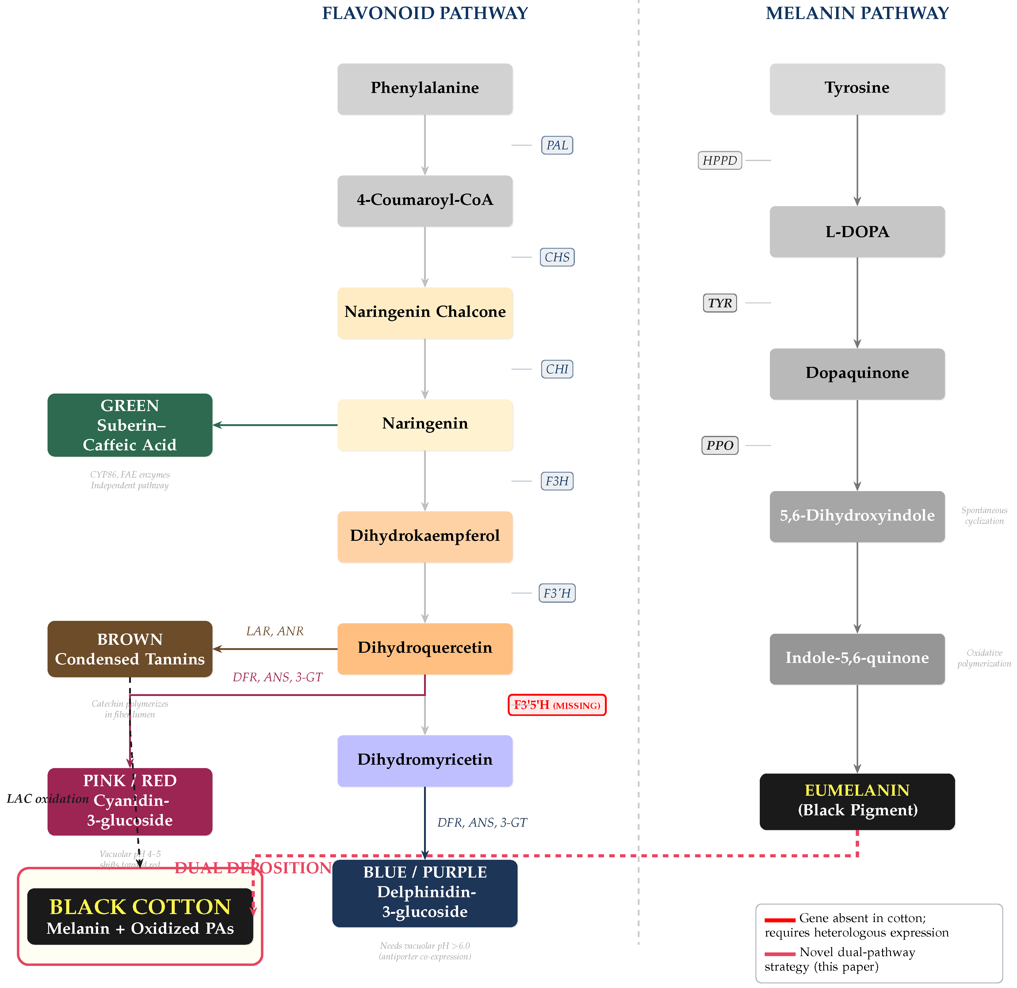 Preprints 201934 g002