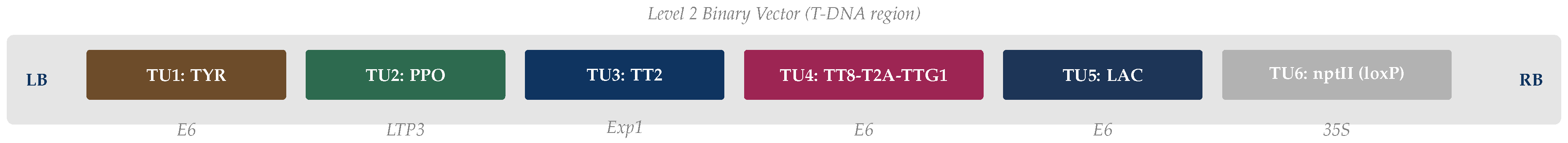 Preprints 201934 g003