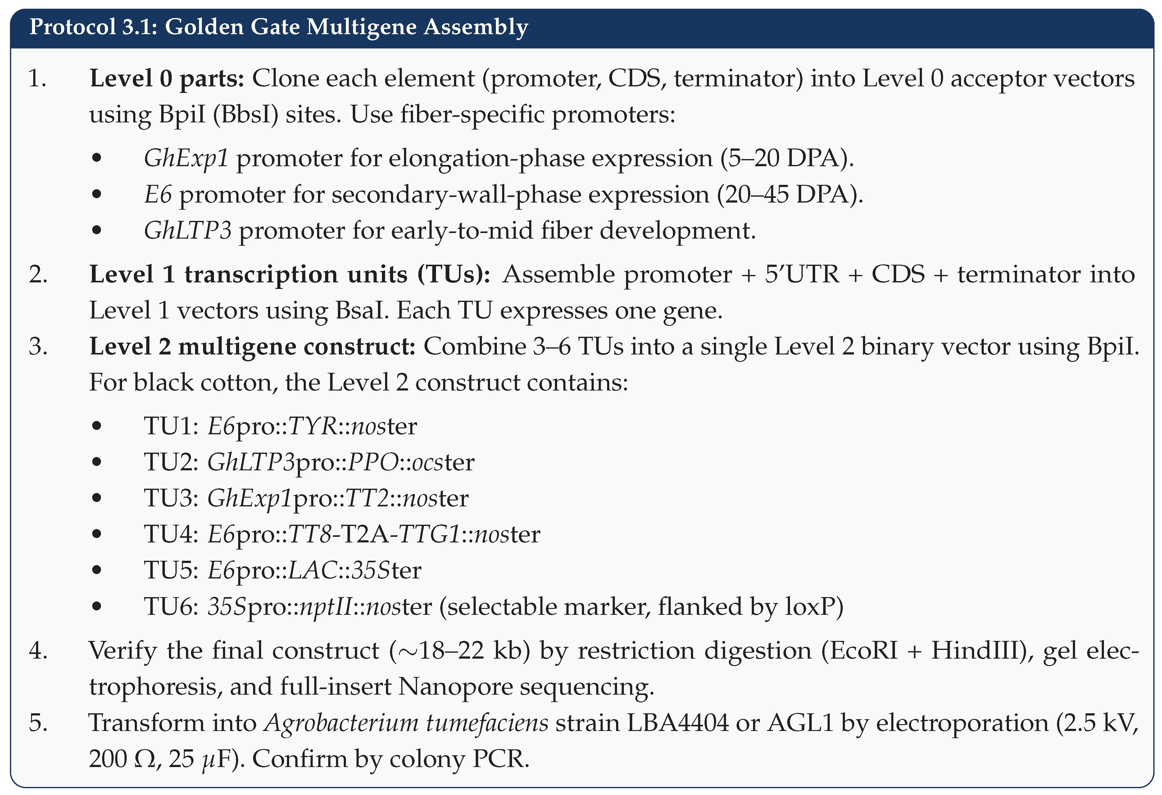 Preprints 201934 sch005