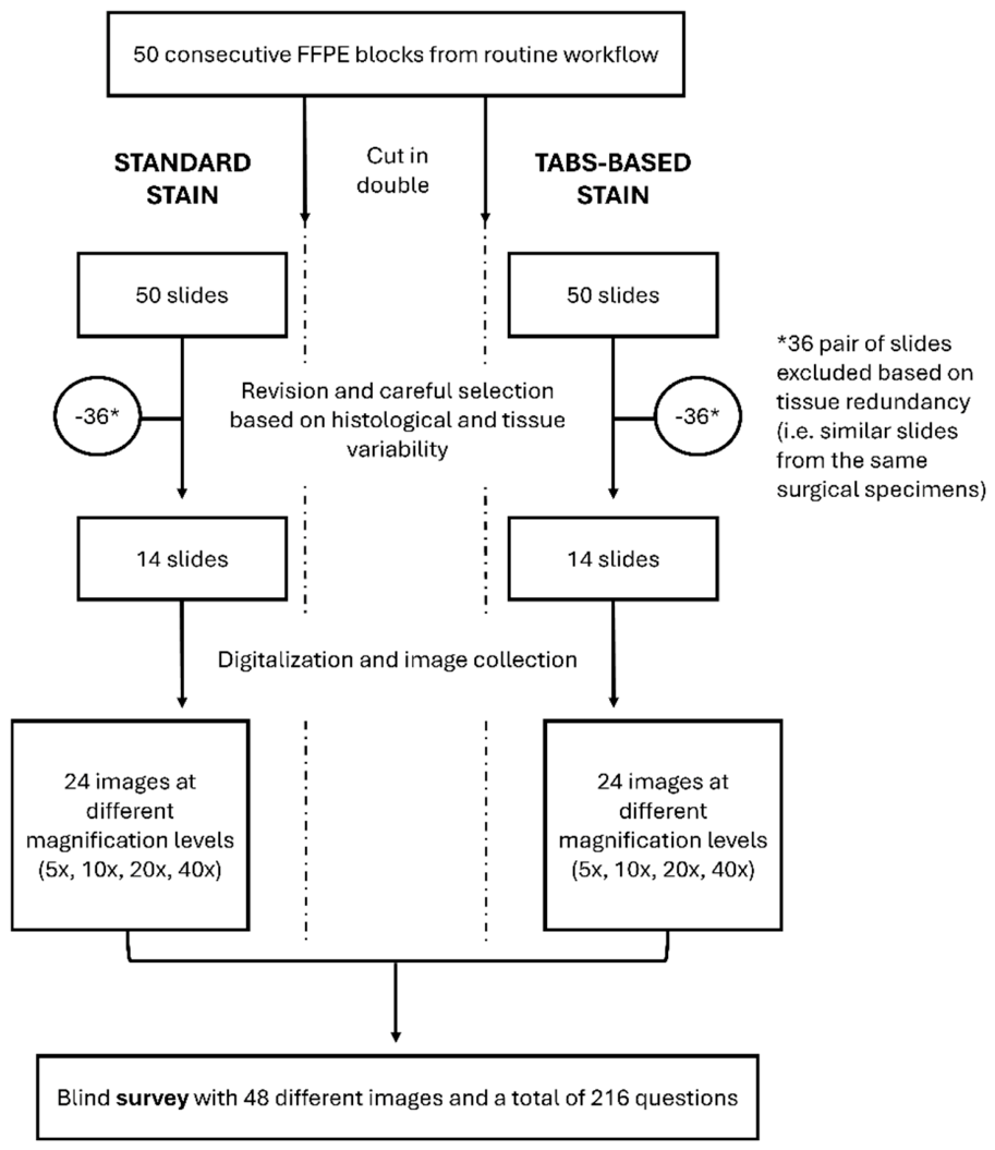 Preprints 216806 g001 Preprints 216806 g001