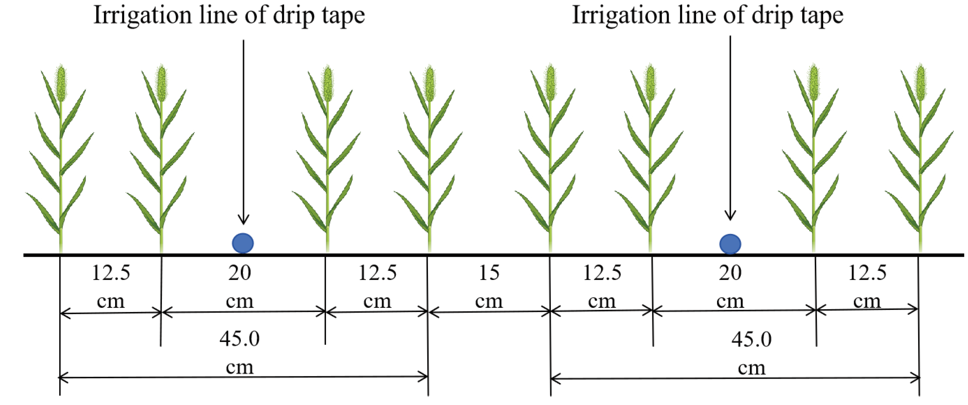 Preprints 95998 g002