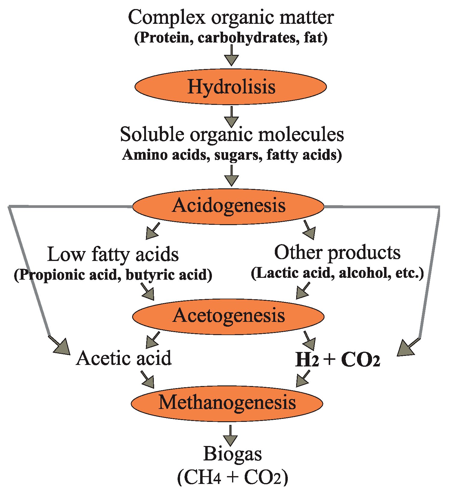 Preprints 175268 g001