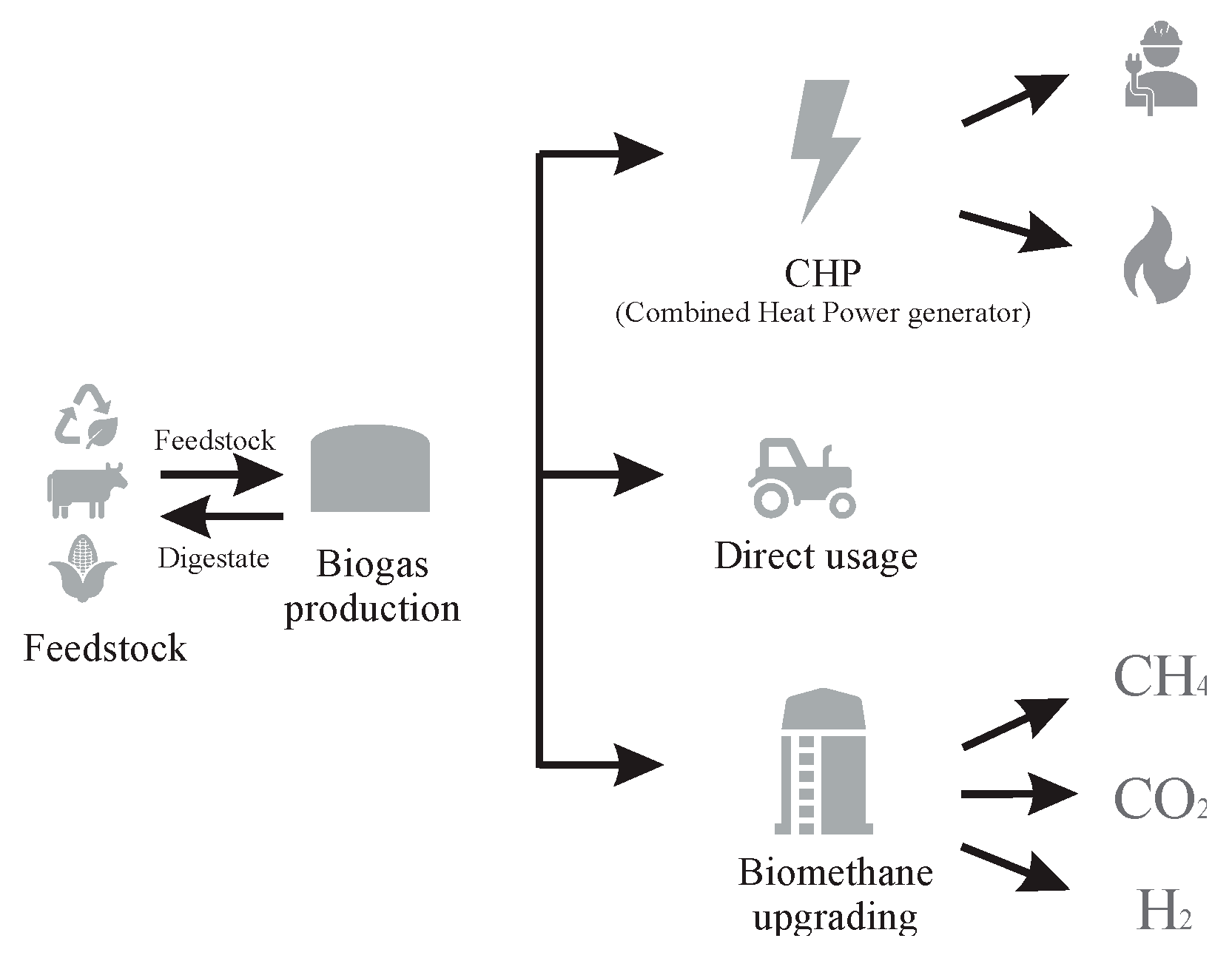 Preprints 175268 g002