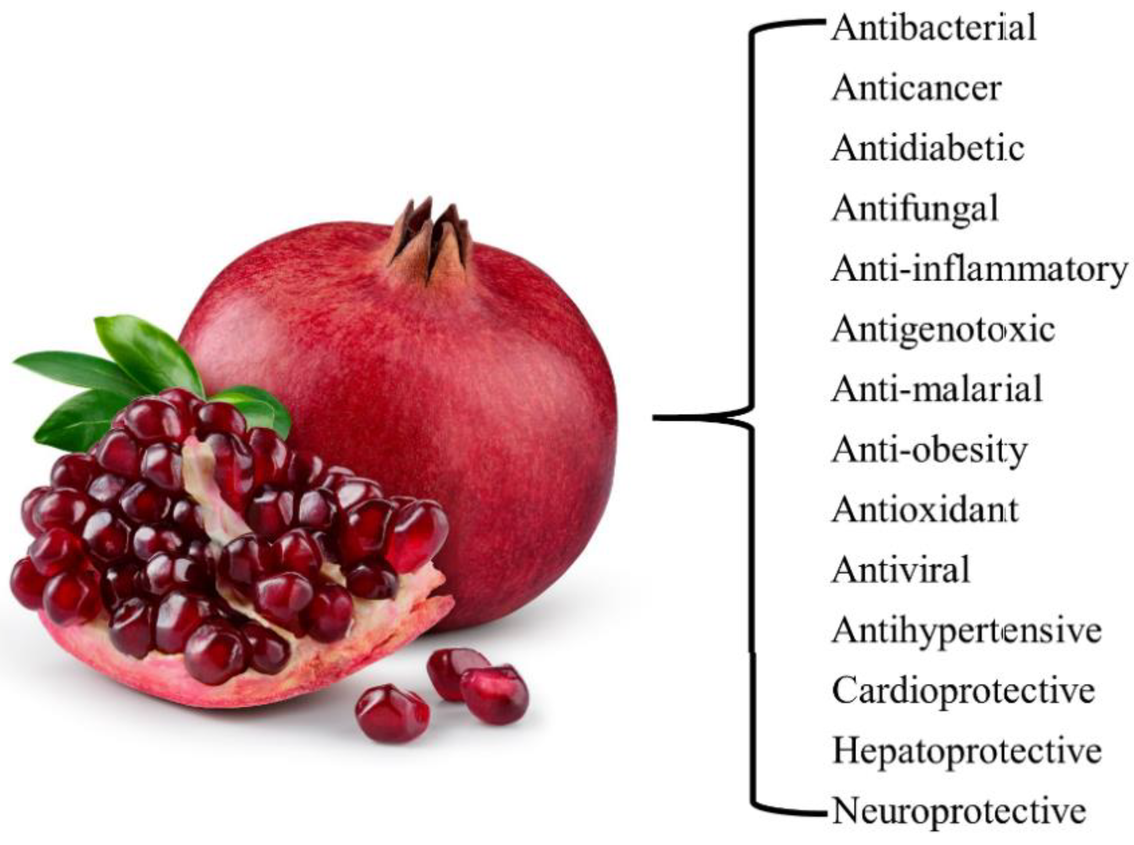 Preprints 113999 g001