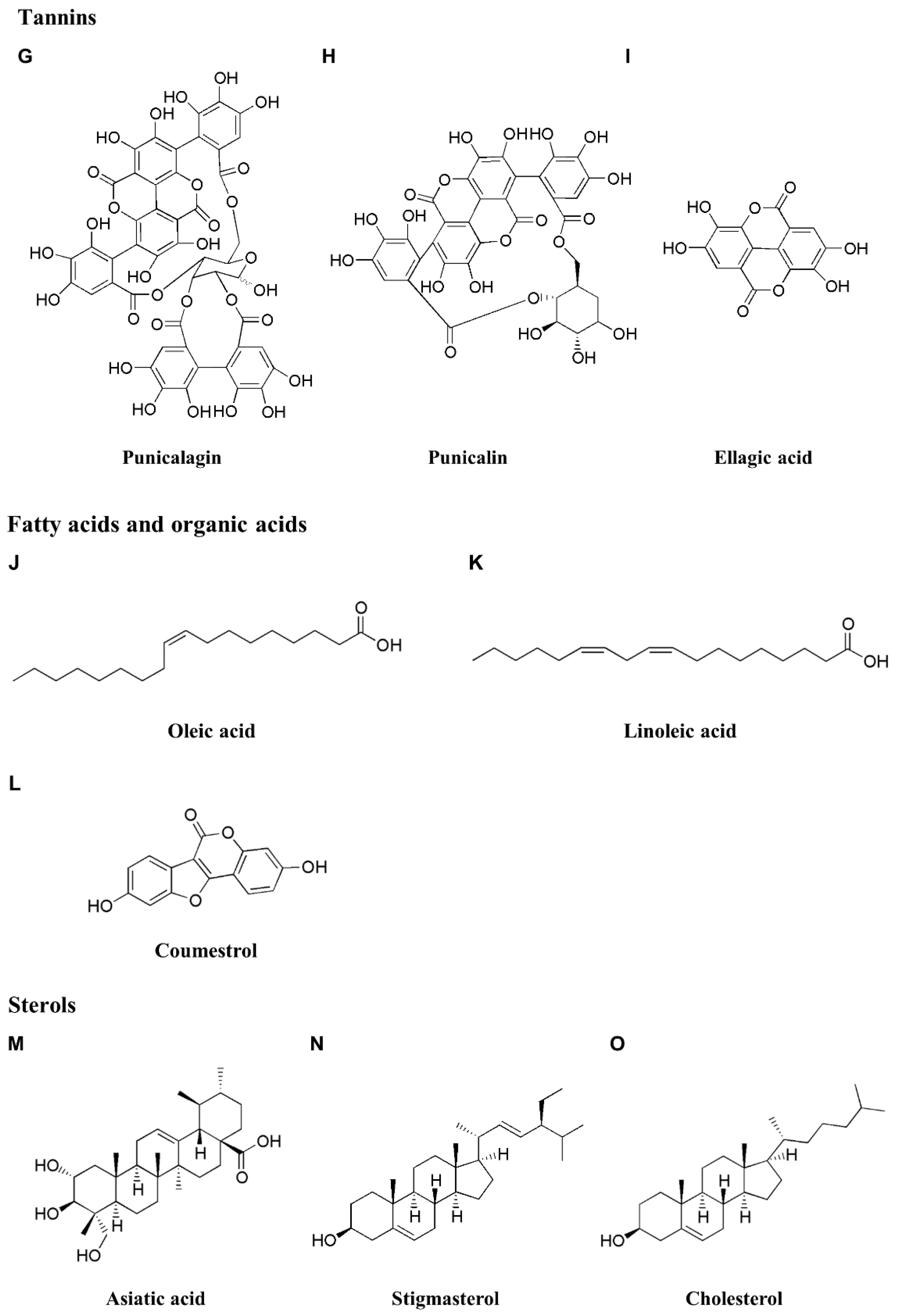 Preprints 113999 g002b