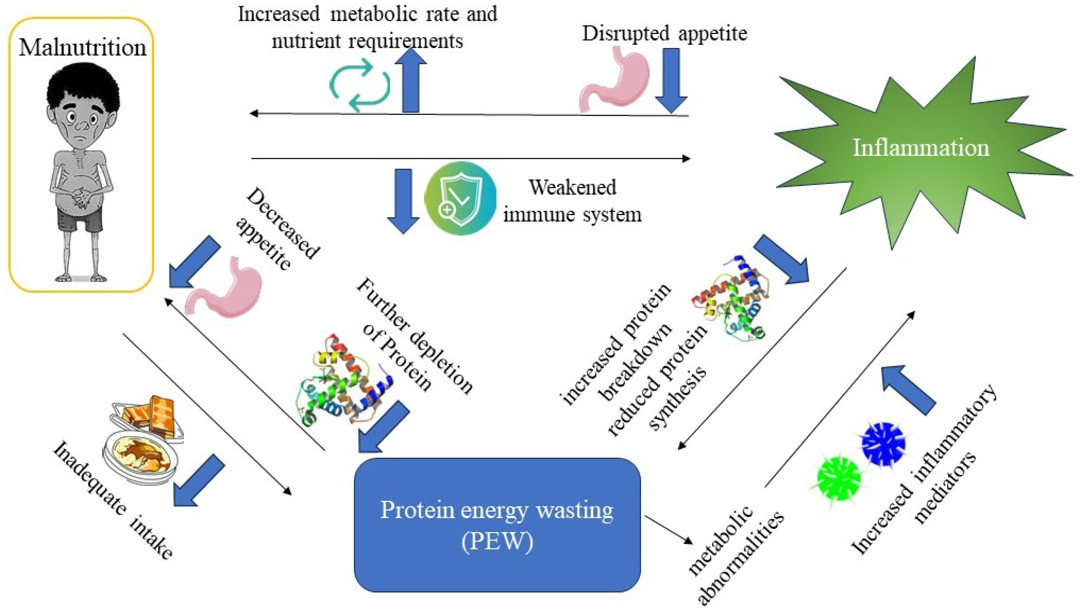Preprints 144593 g002