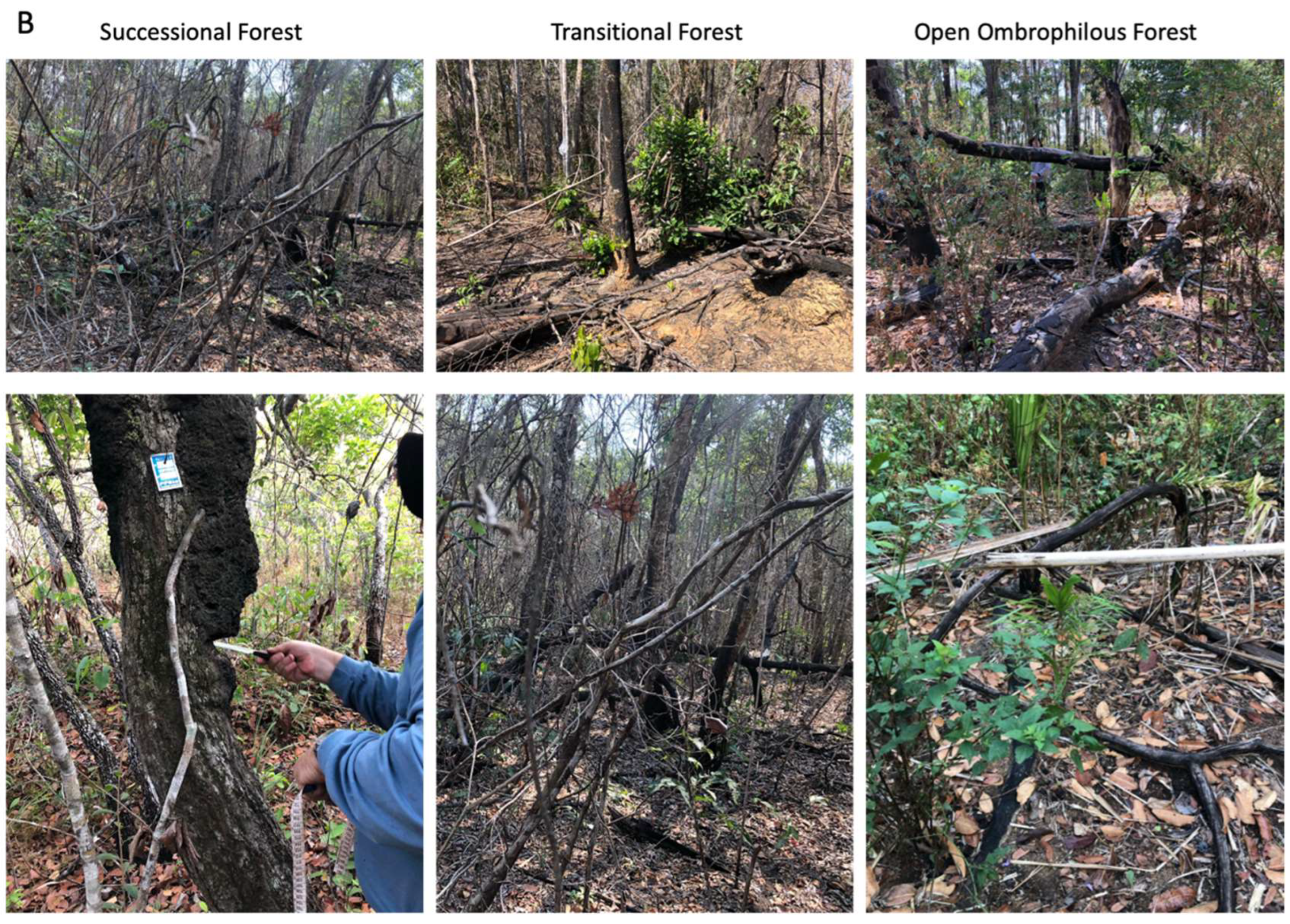 Preprints 157262 g002b