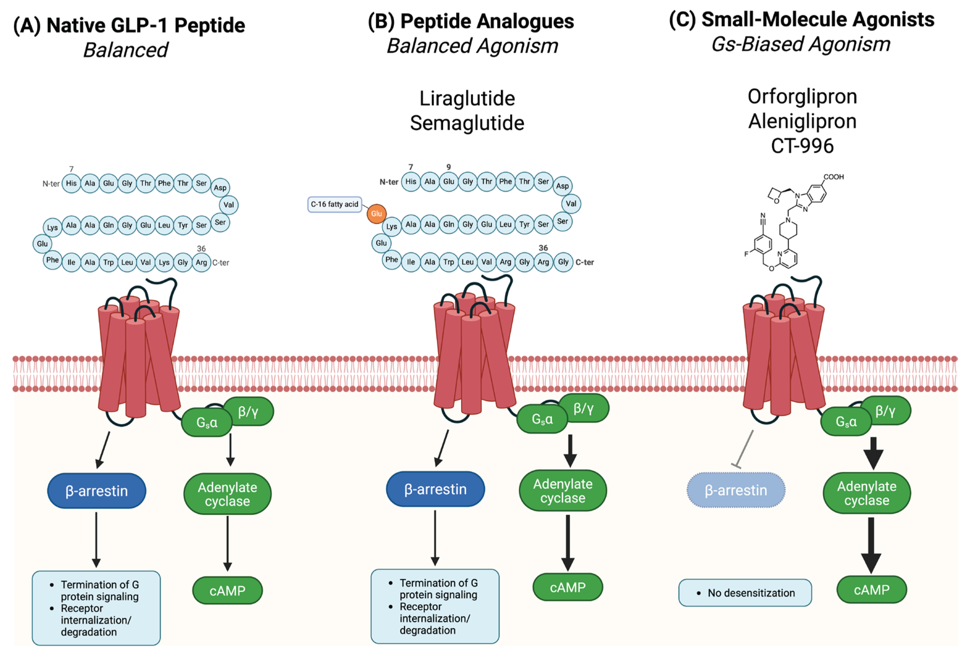Preprints 159314 g002