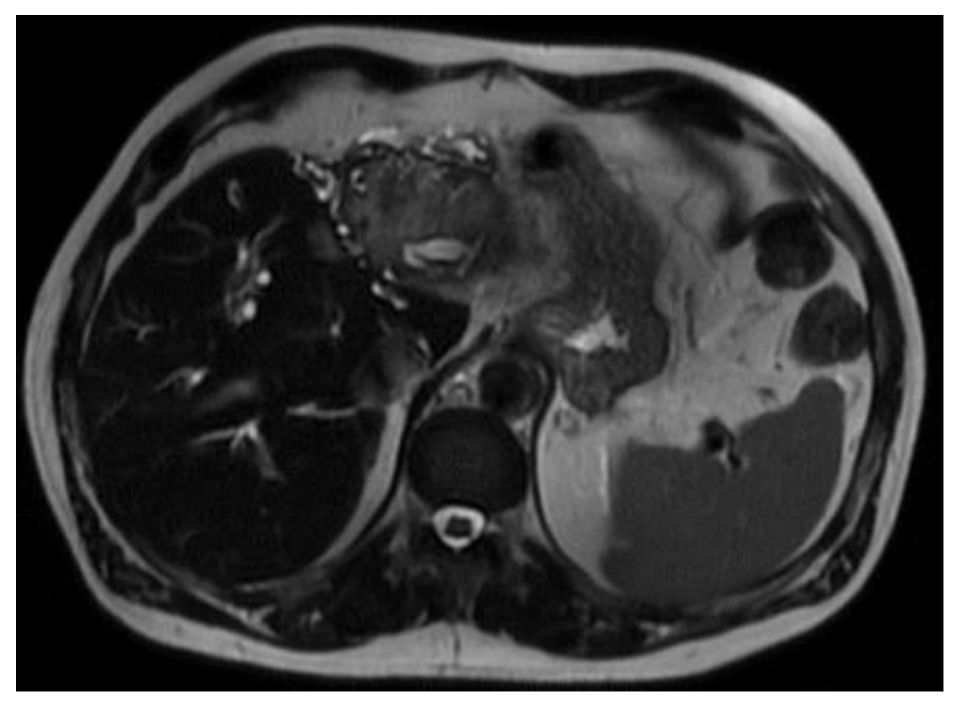 Preprints 191022 g003