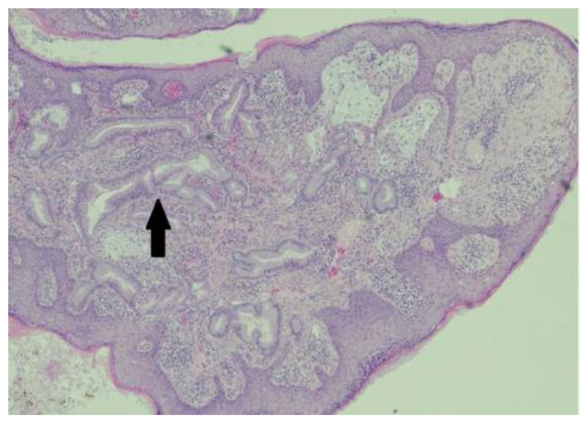 Preprints 191022 g004