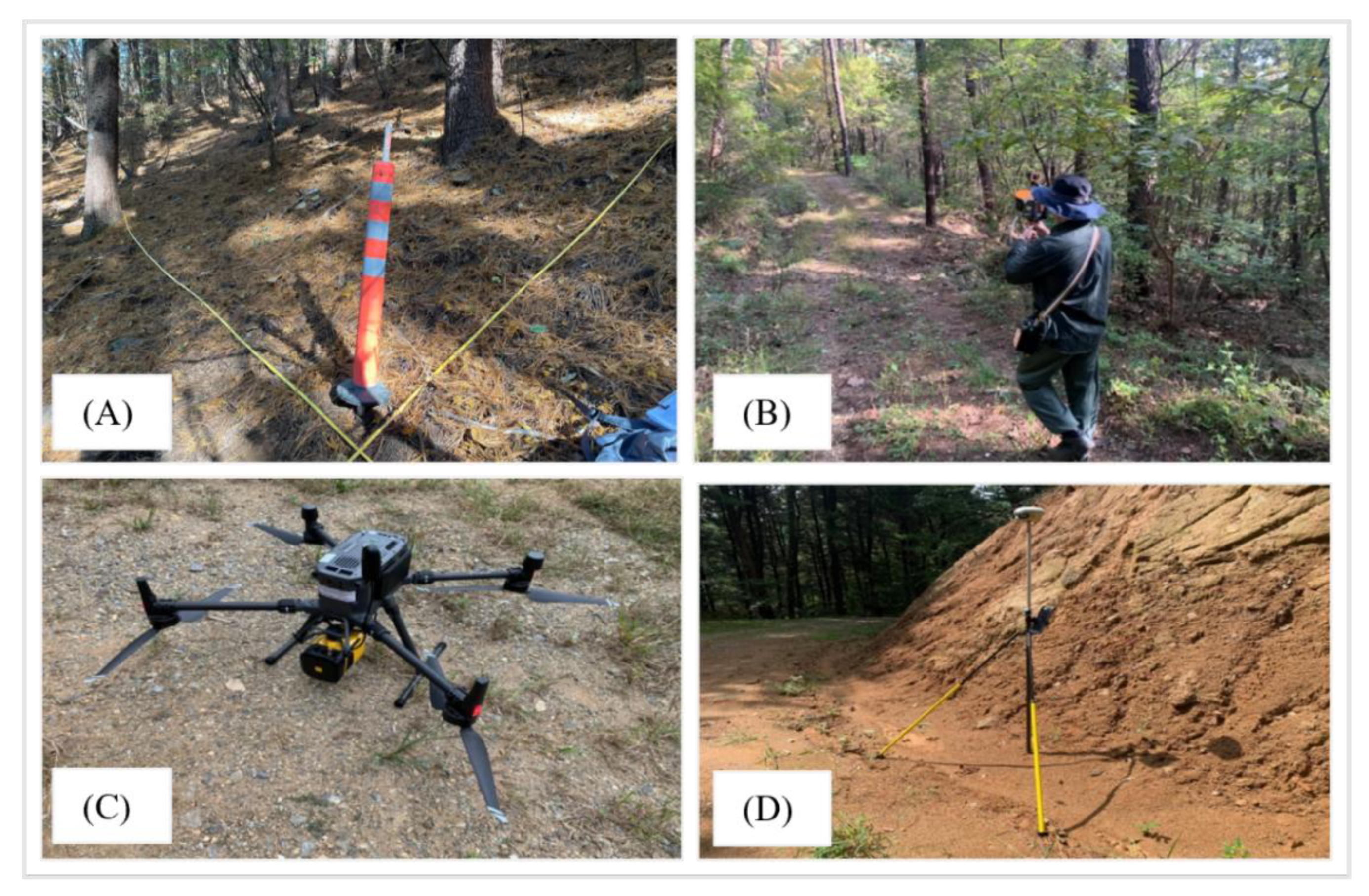 Preprints 152588 g003