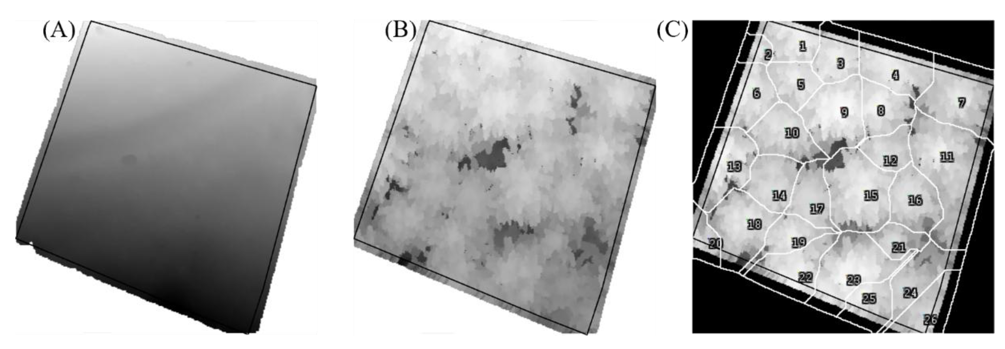 Preprints 152588 g005