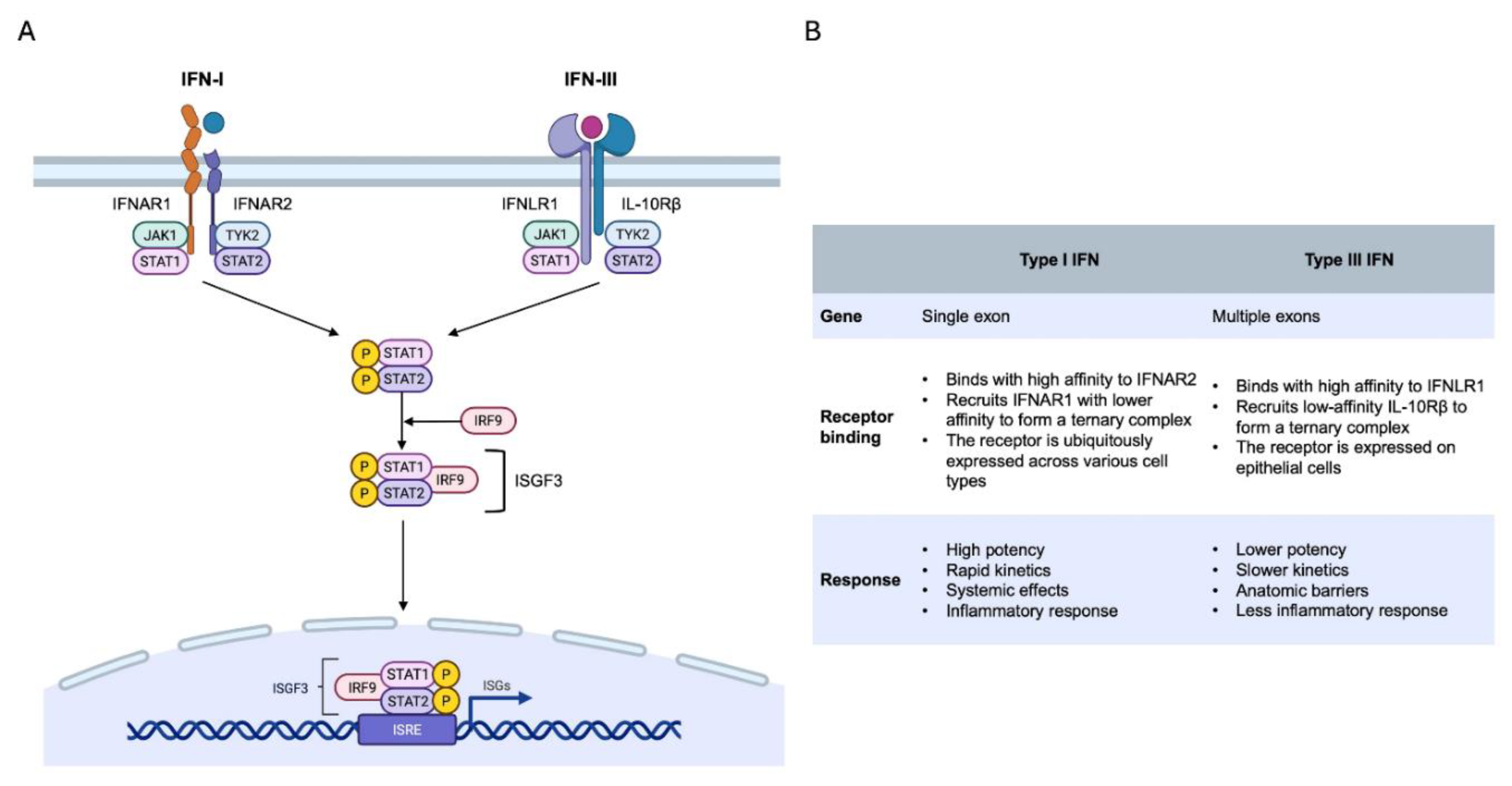 Preprints 170393 g002