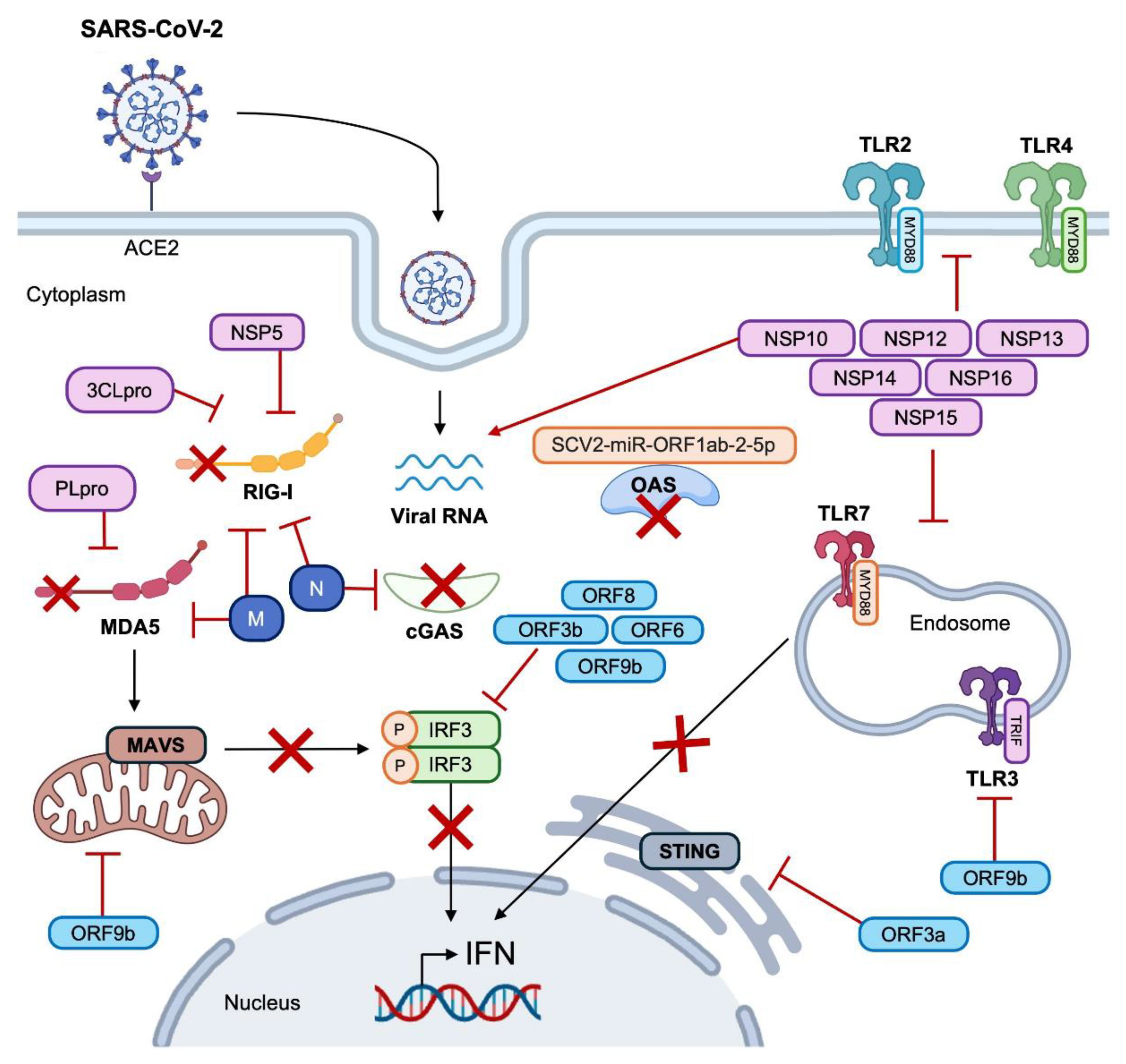 Preprints 170393 g003