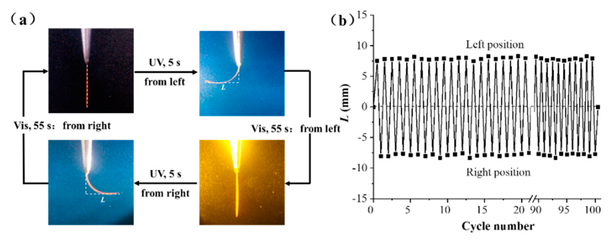 Preprints 158456 g005