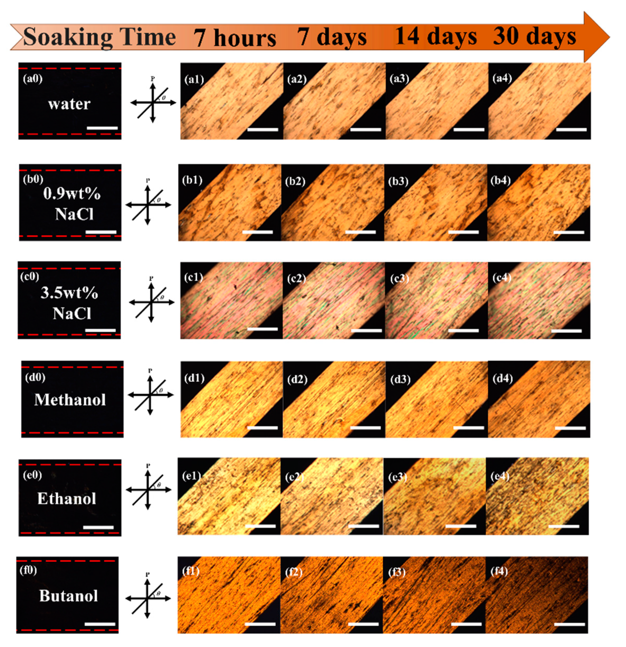 Preprints 158456 g007