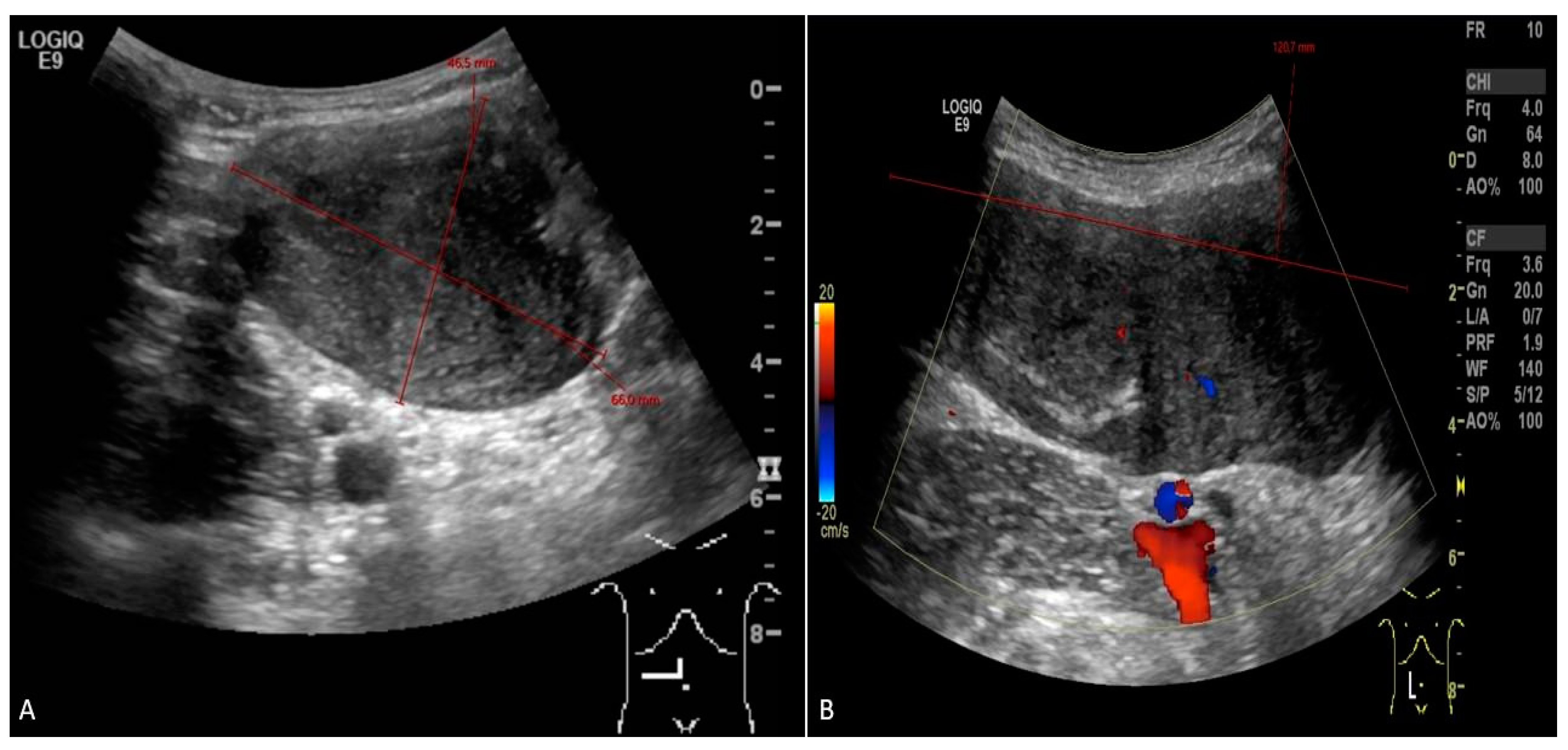 Preprints 87423 g001