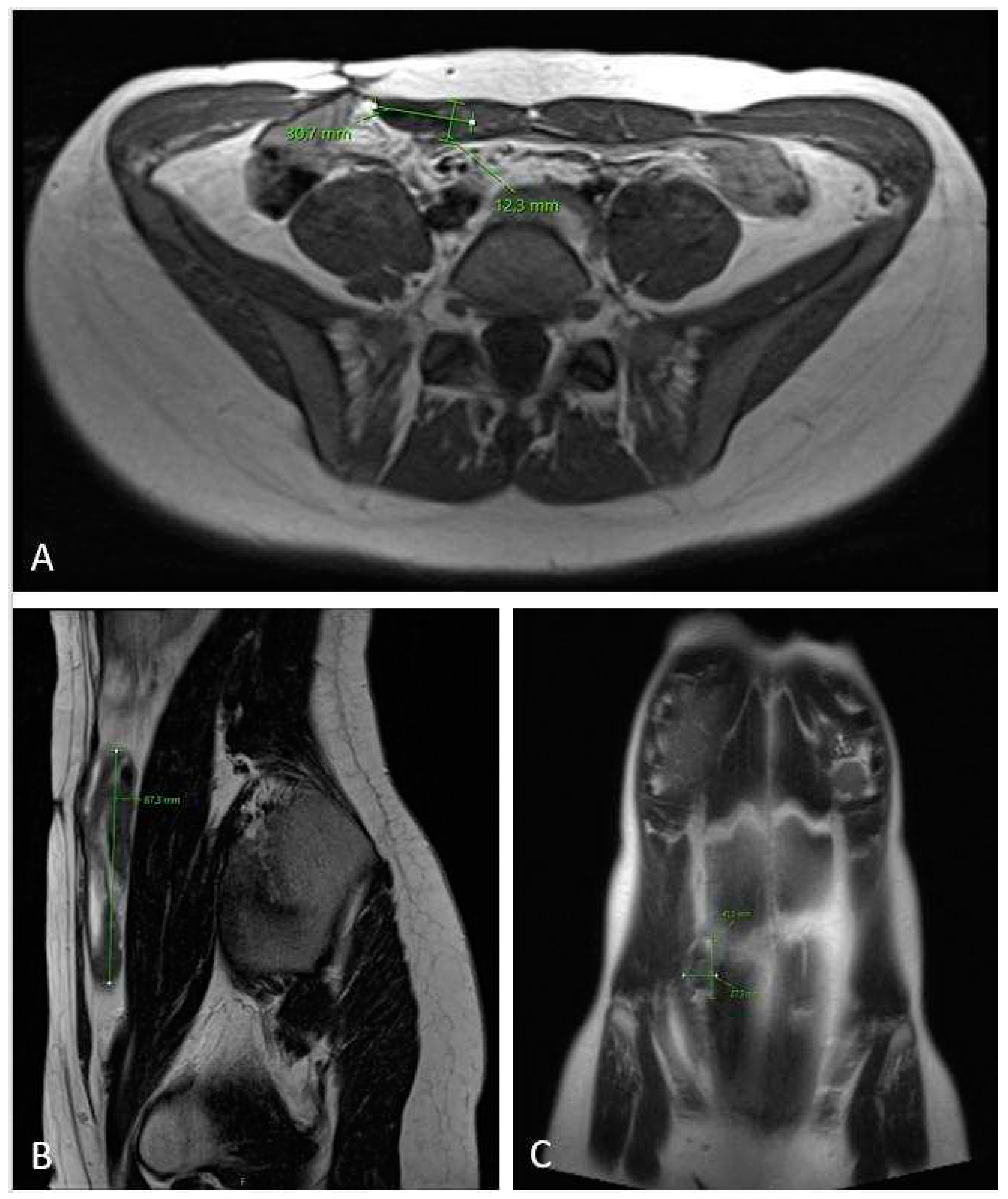 Preprints 87423 g007