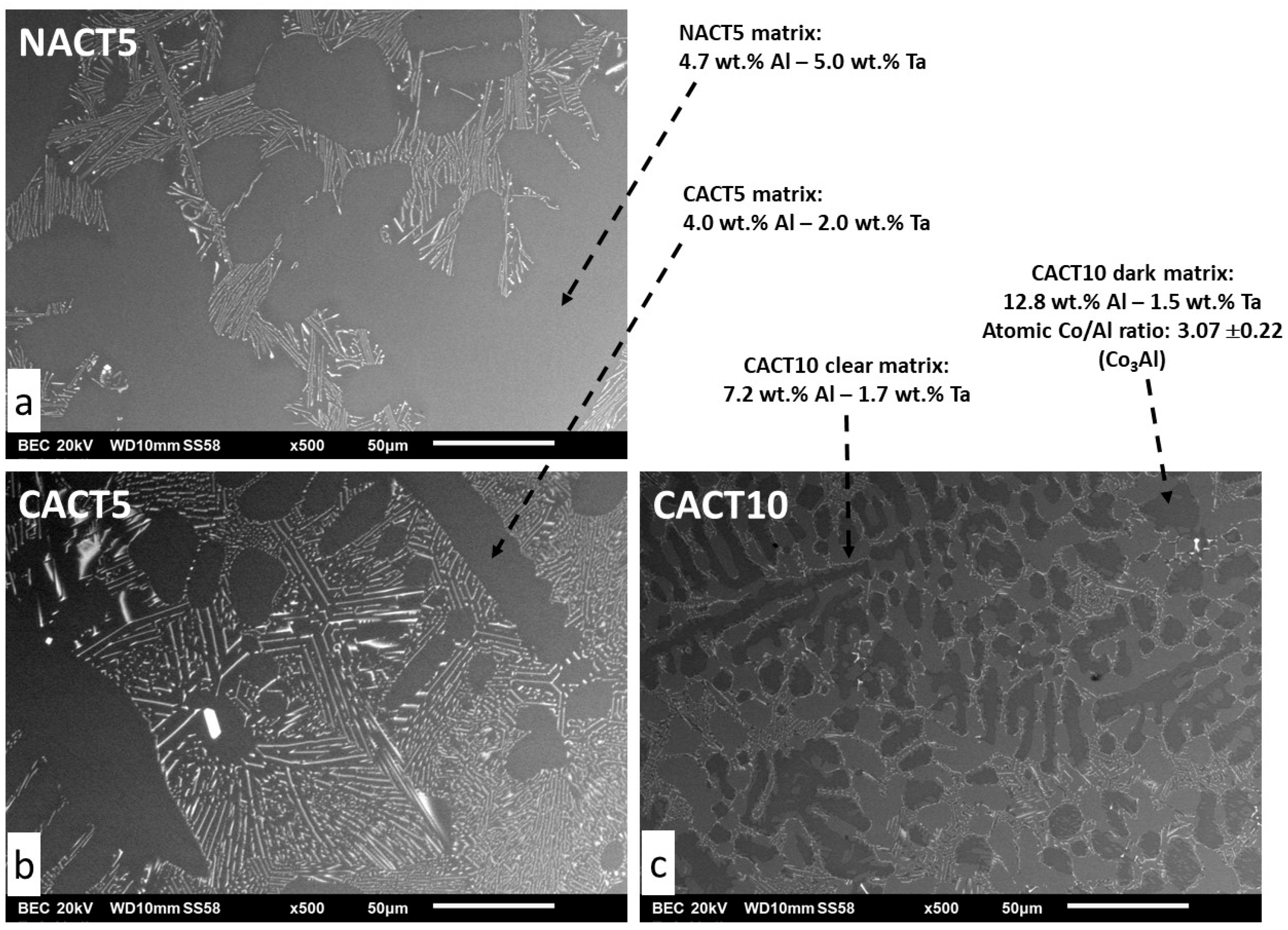 Preprints 191189 g001
