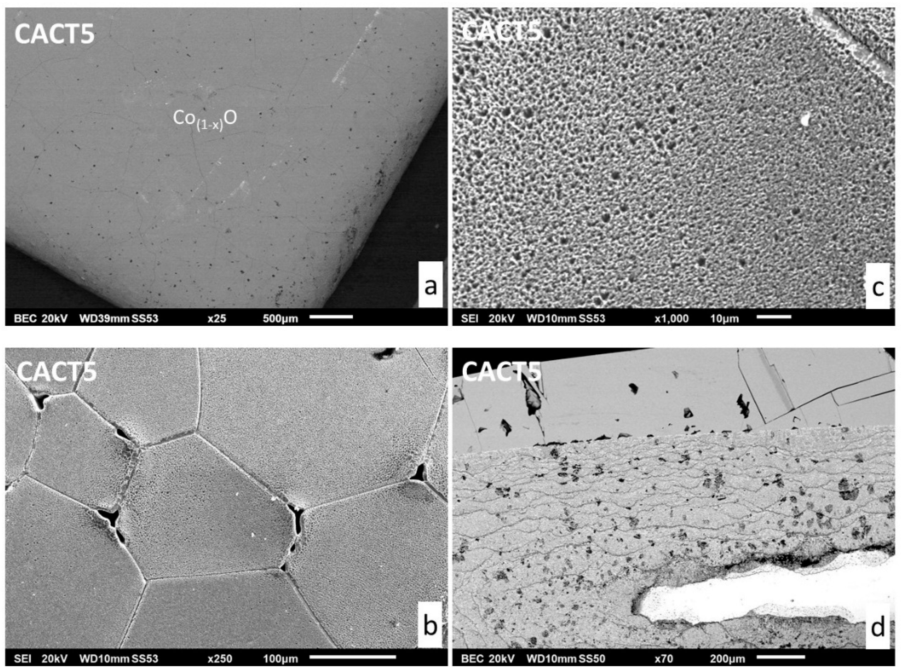 Preprints 191189 g006
