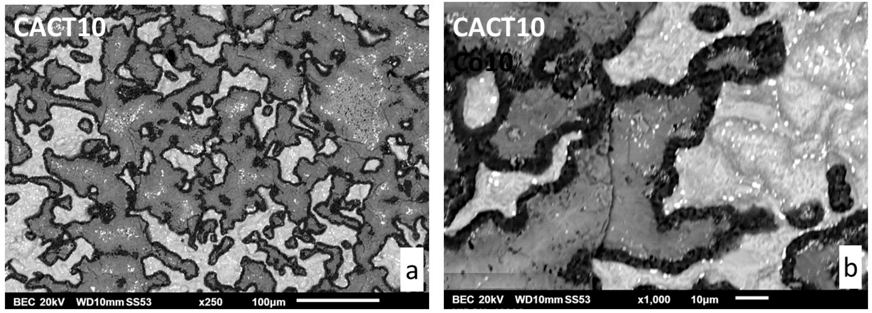 Preprints 191189 g007