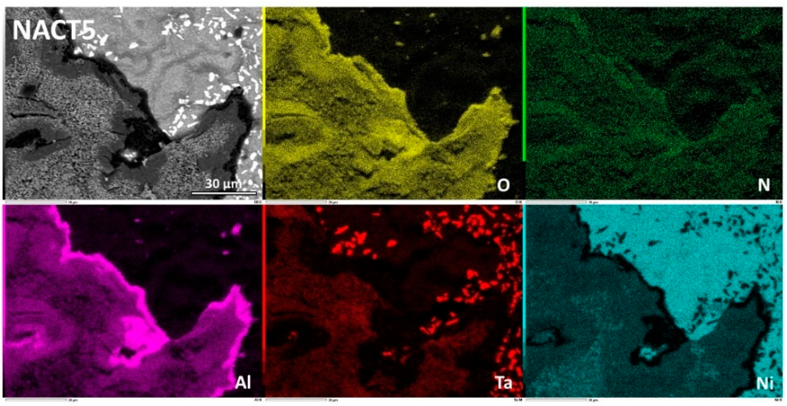 Preprints 191189 g009