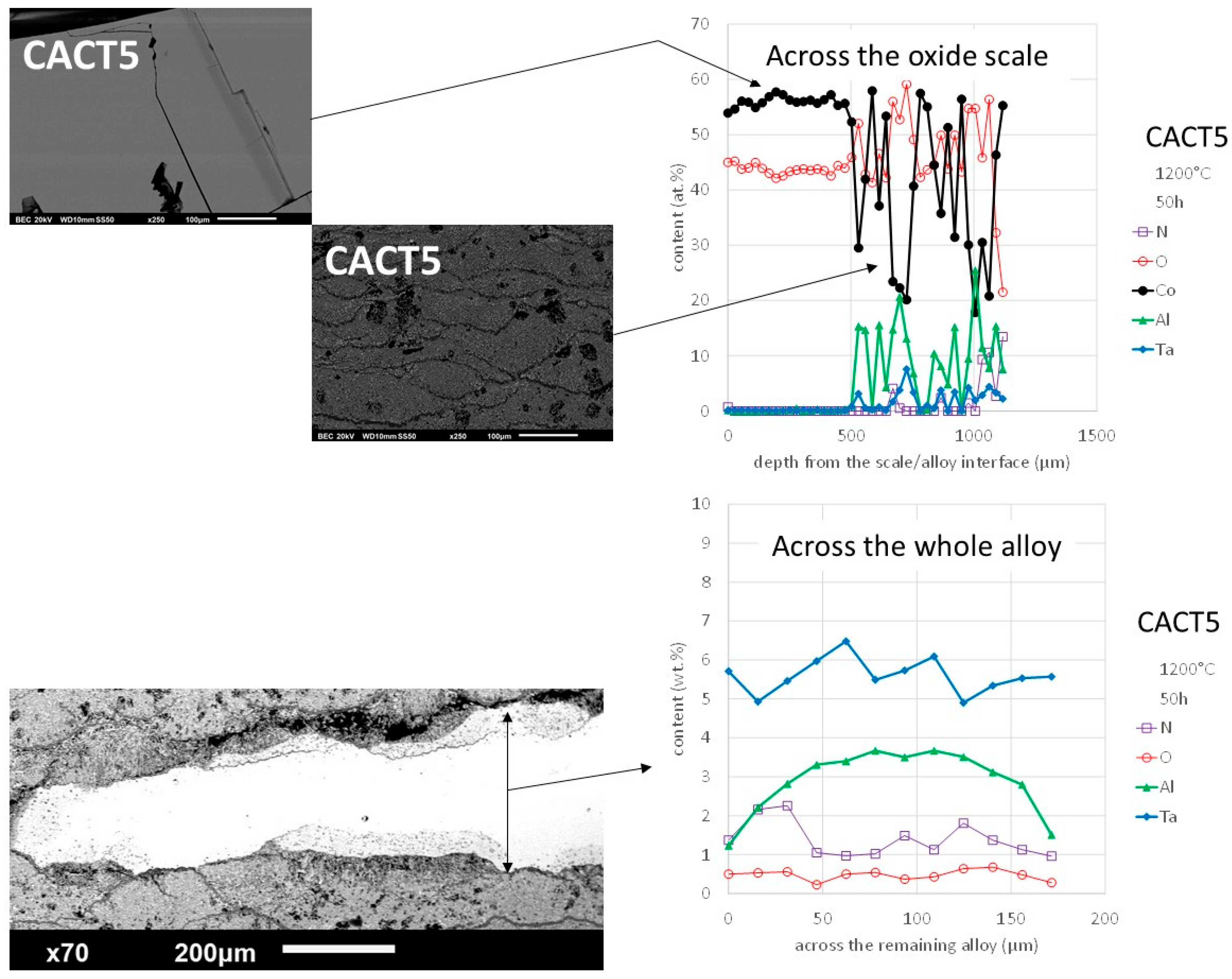 Preprints 191189 g012